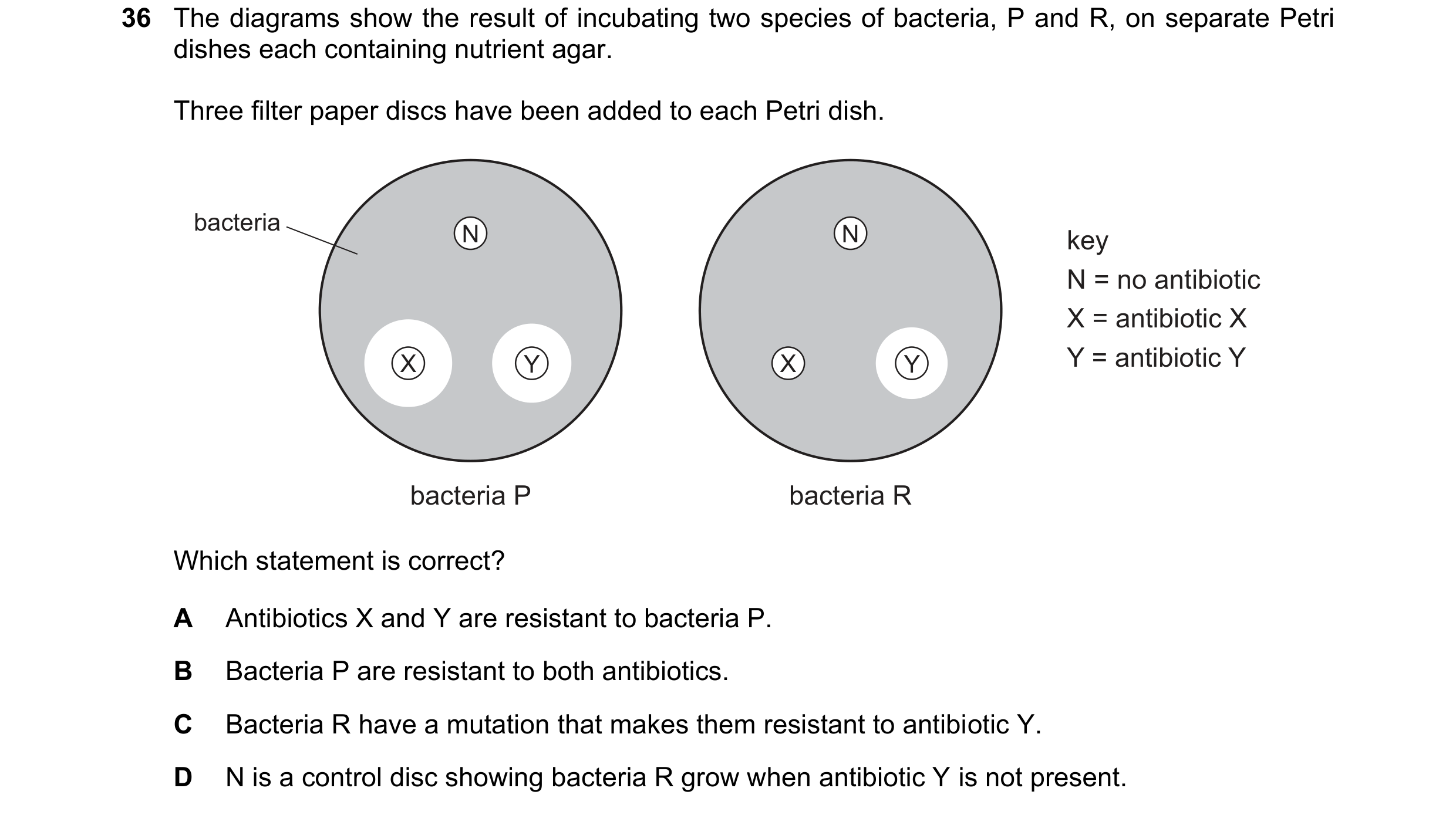 Question 59: The diagrams show the result of incubating two species of bacteria, P and R, on separate Petri dishes each containing nutrient agar. Three …