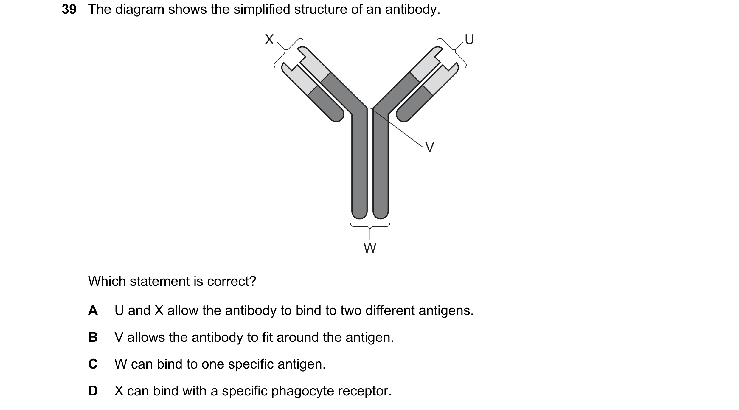 Question 113: The diagram shows the simplified structure of an antibody. X U V W Which statement is correct? A U and X allow the antibody to bind to two …
