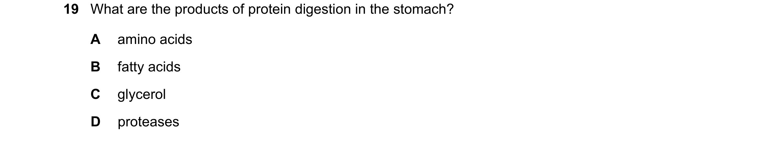 Question 37: What are the products of protein digestion in the stomach? A amino acids B fatty acids C glycerol D proteases