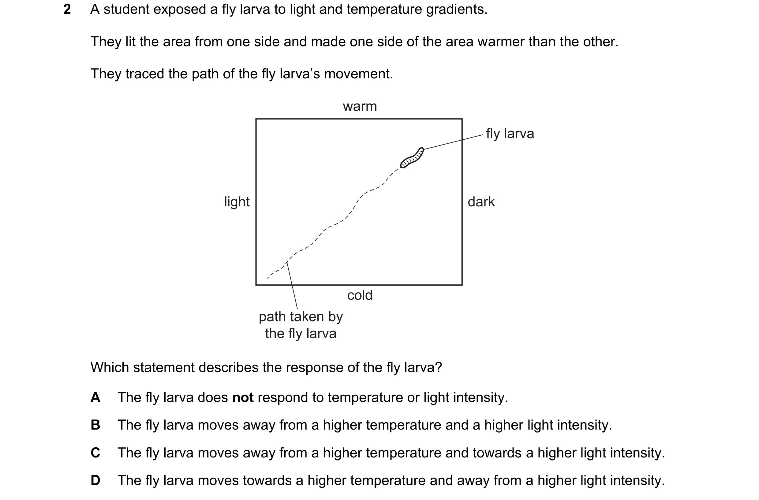 Question 32: A student exposed a fly larva to light and temperature gradients. They lit the area from one side and made one side of the area warmer than…