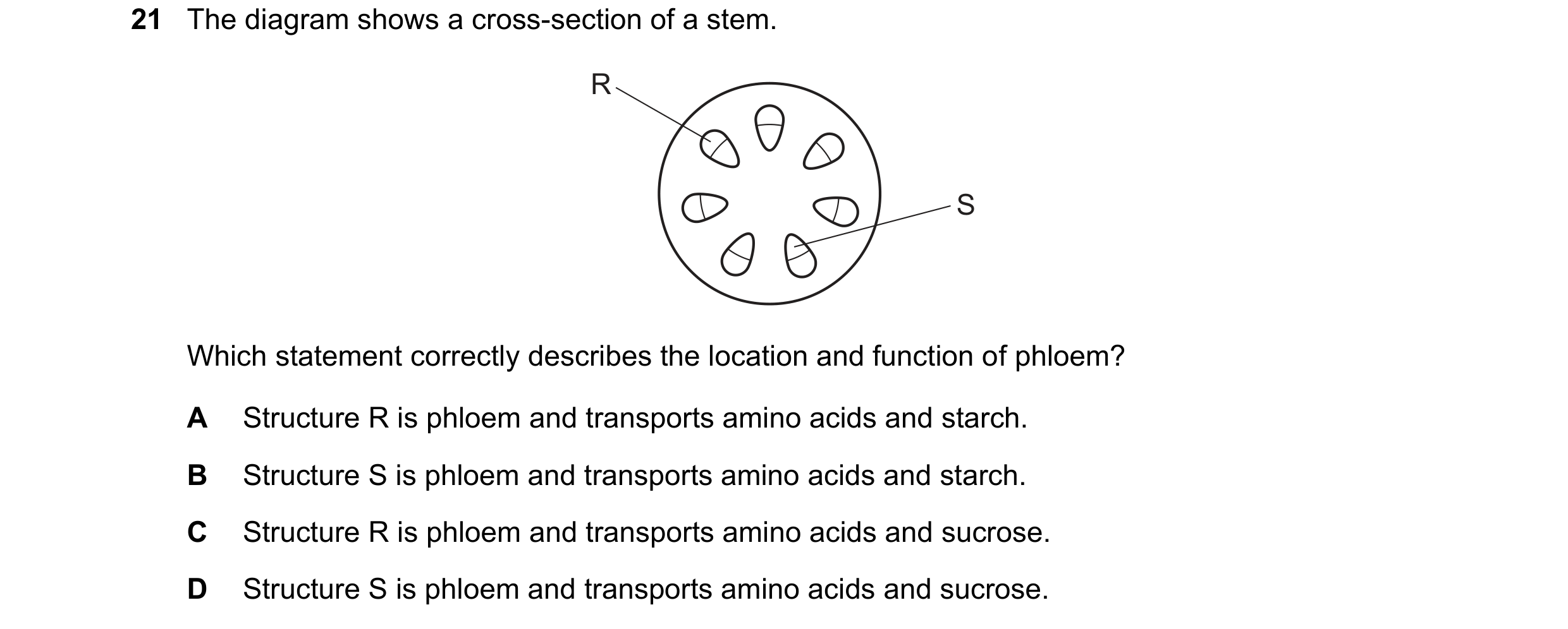 Question 21: The diagram shows a cross-section of a stem. R S Which statement correctly describes the location and function of phloem? A Structure R is …