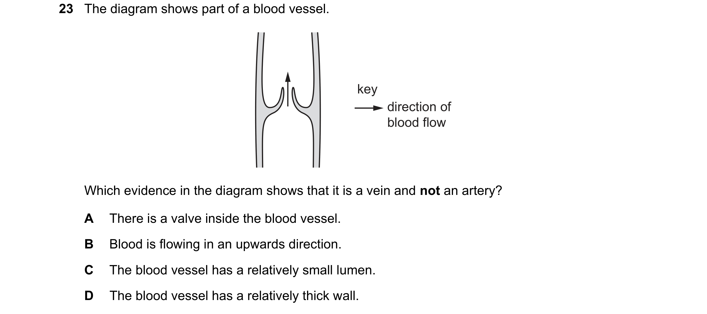 Question 16: The diagram shows part of a blood vessel. key direction of blood flow Which evidence in the diagram shows that it is a vein and not an arte…