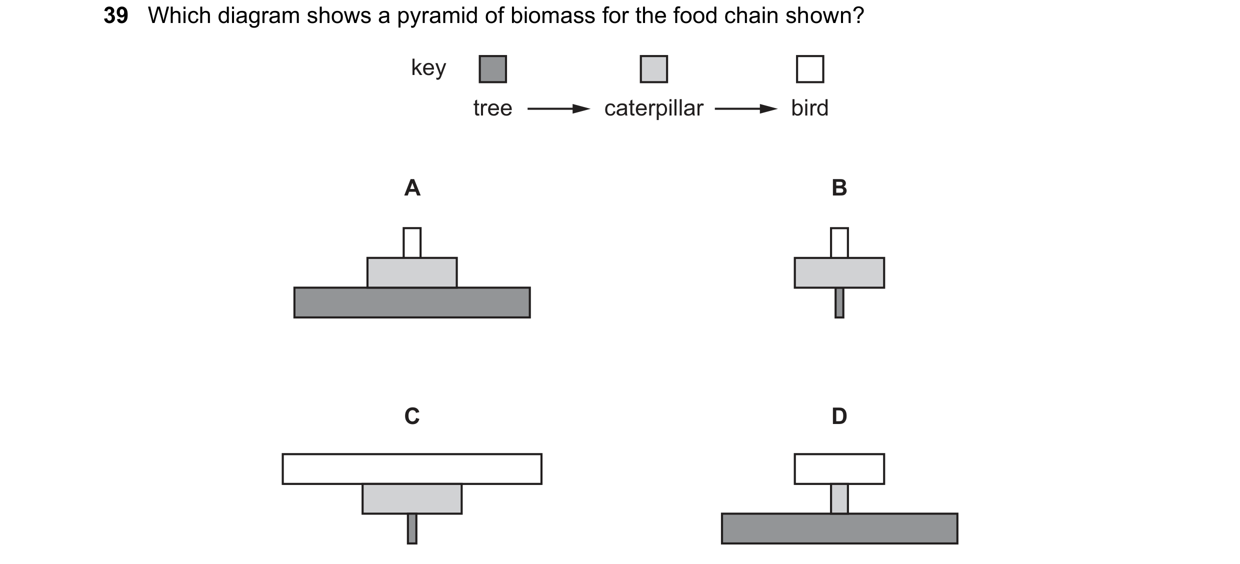 Question 12: Which diagram shows a pyramid of biomass for the food chain shown? key tree caterpillar bird A B C D