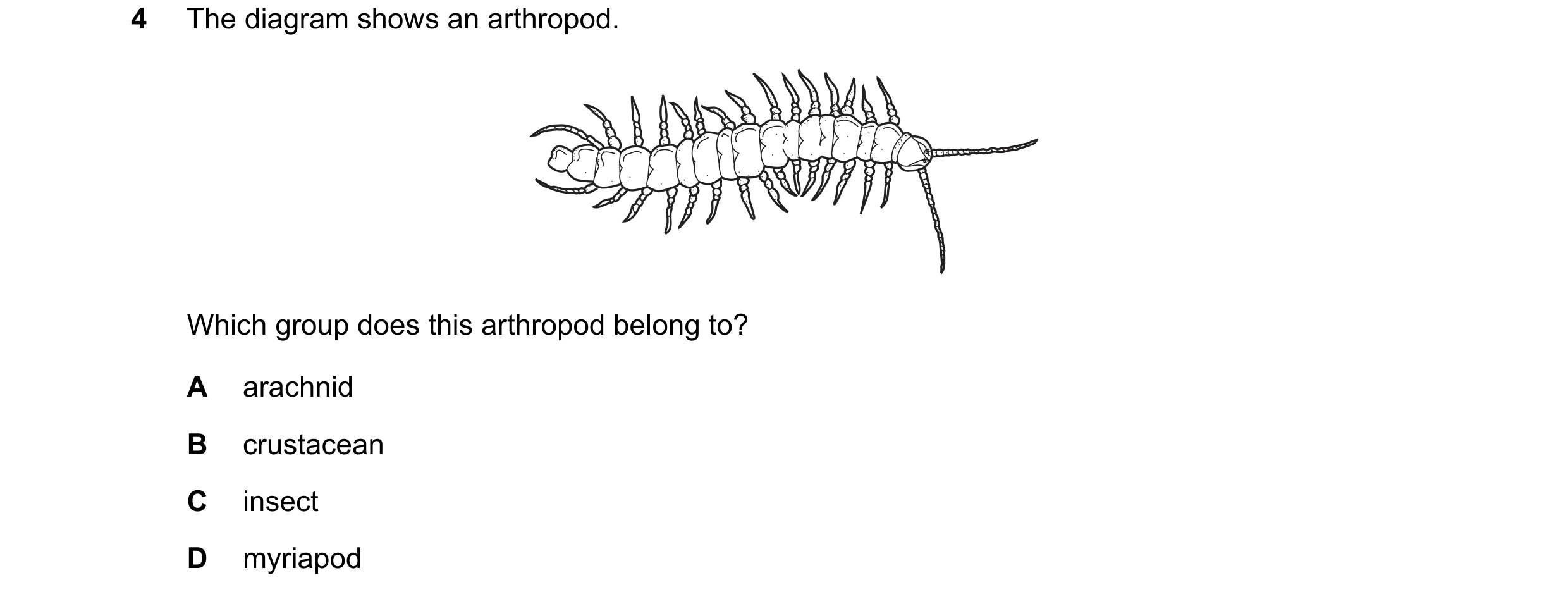 Question 29: The diagram shows an arthropod. Which group does this arthropod belong to? A arachnid B crustacean C insect D myriapod