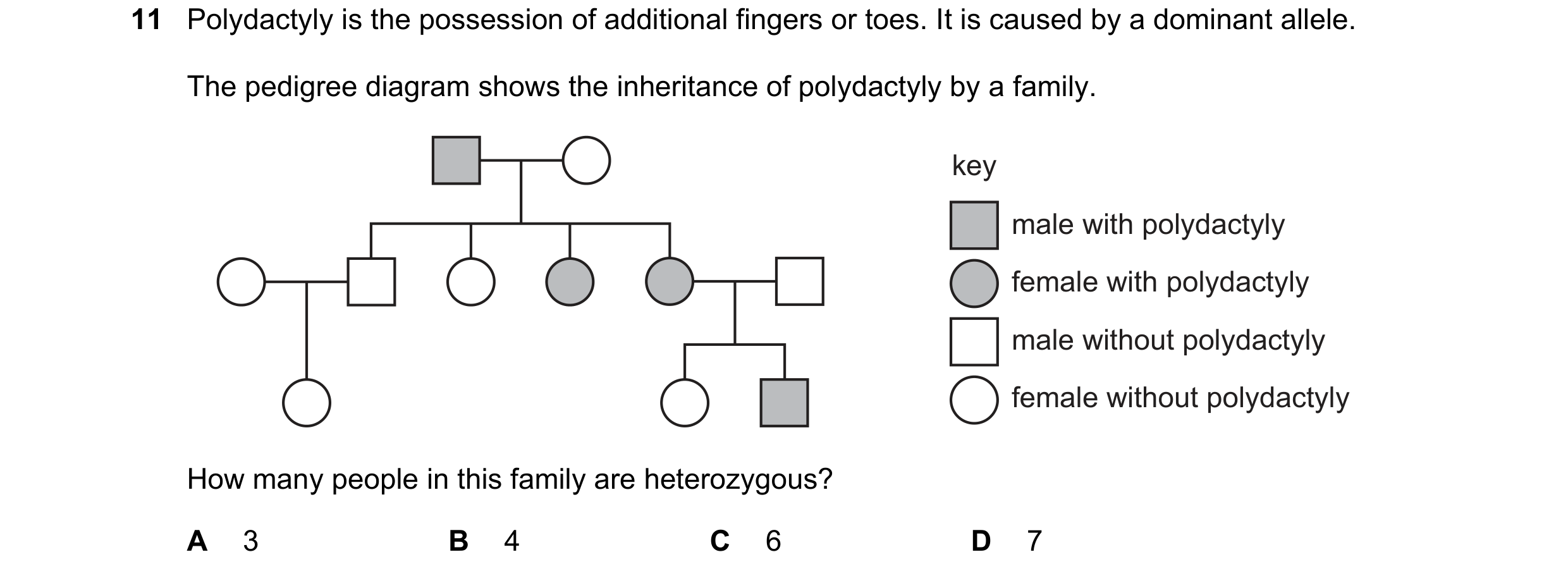 Question 19: Polydactyly is the possession of additional fingers or toes. It is caused by a dominant allele. The pedigree diagram shows the inheritance …