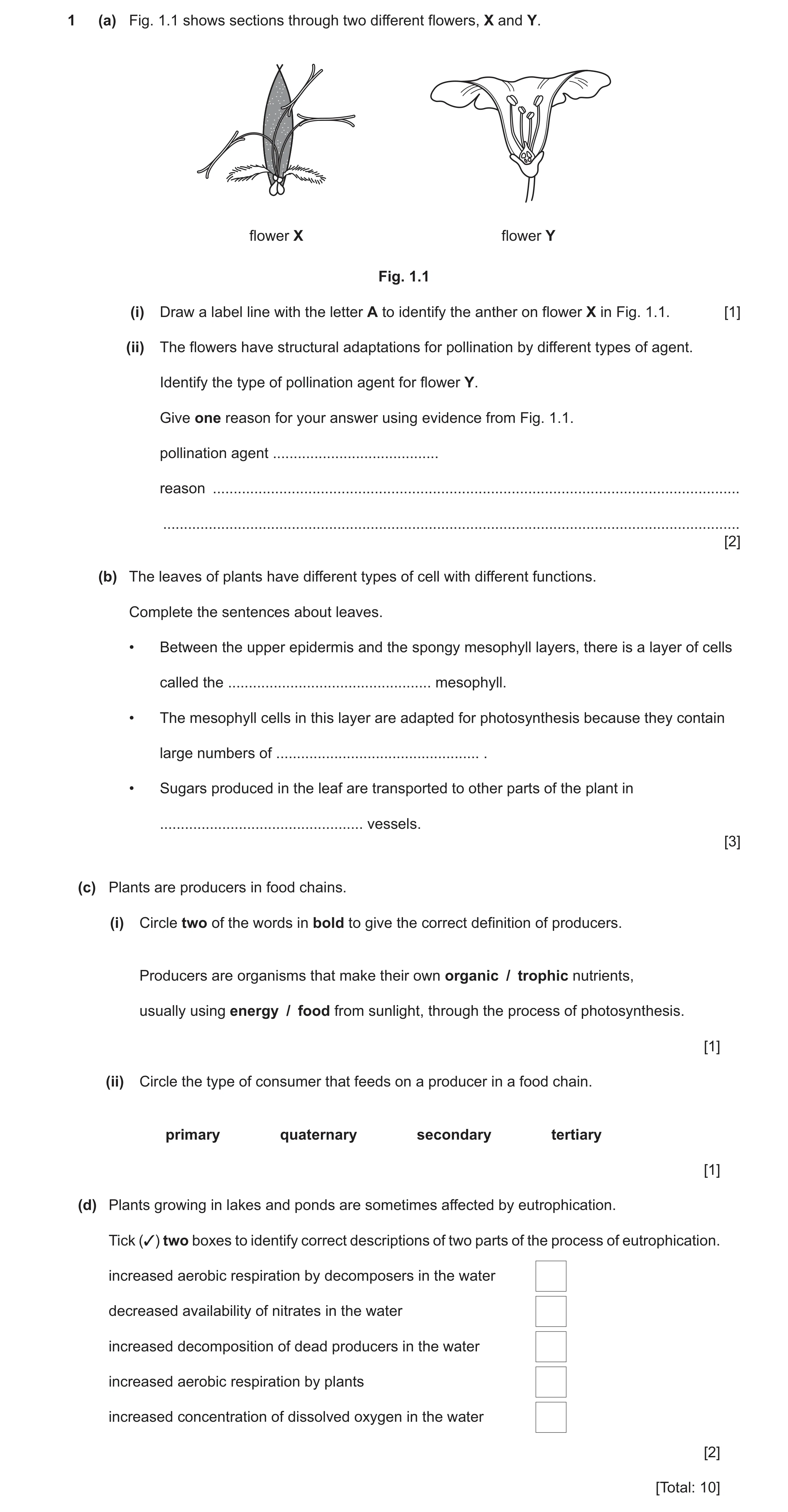Question 12: (a) Fig. 1.1 shows sections through two different flowers, X and Y. flower X flower Y Fig. 1.1 (i) Draw a label line with the letter A to i…