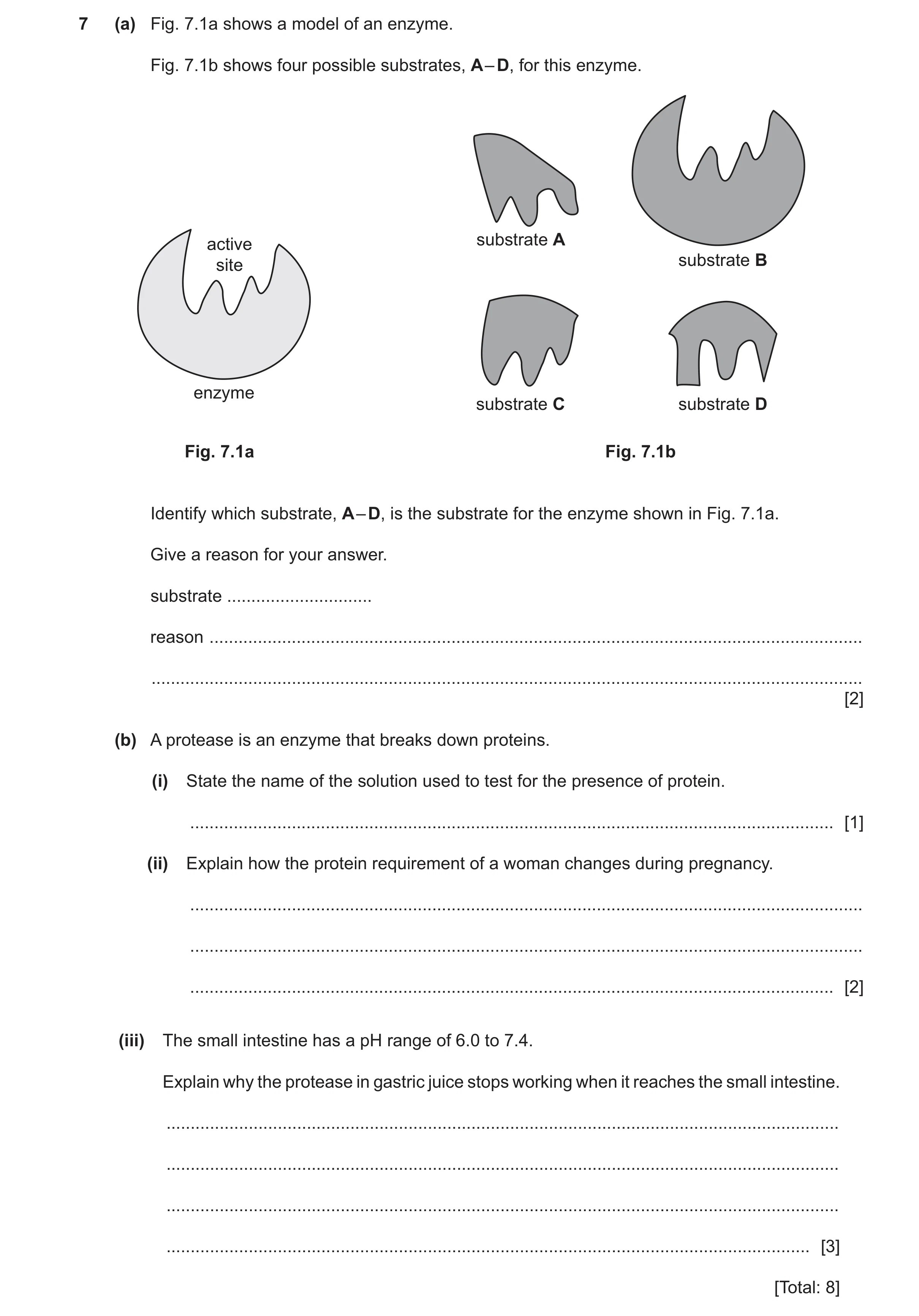 Question 22: (a) Fig. 7.1a shows a model of an enzyme. Fig. 7.1b shows four possible substrates, A – D, for this enzyme. substrate A active substrate B …