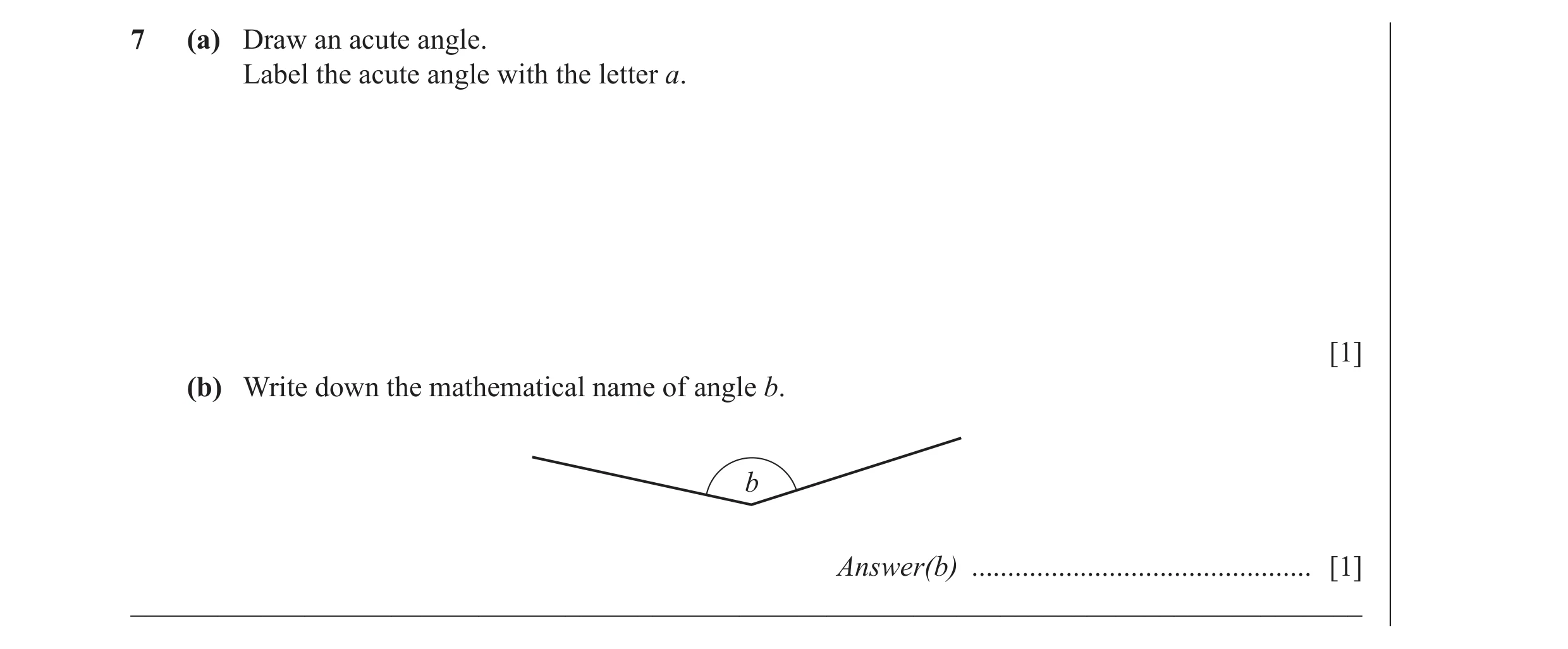 Question 35: (a) Draw an acute angle. Label the acute angle with the letter a. [1] (b) Write down the mathematical name of angle b. b Answer(b) ........…