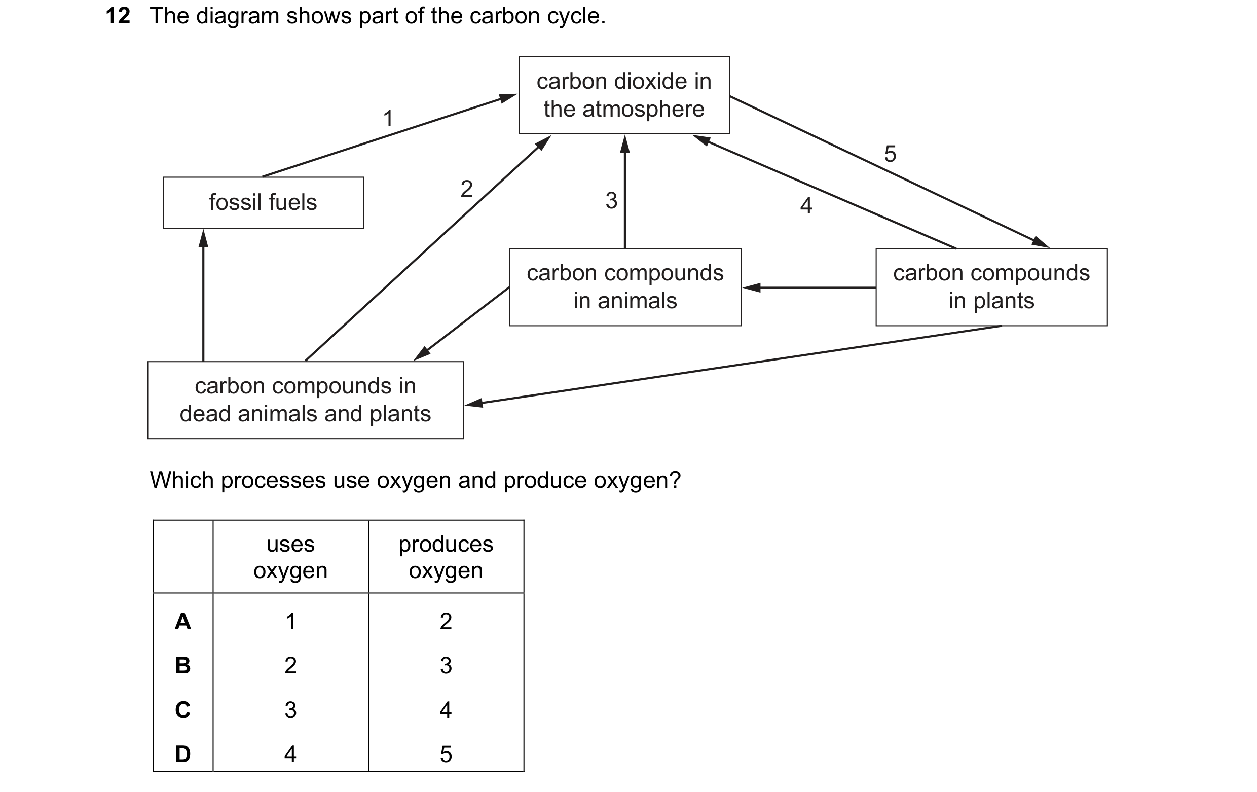 Question 12: The diagram shows part of the carbon cycle. carbon dioxide in 1 the atmosphere 5 2 fossil fuels 3 4 carbon compounds carbon compounds in an…