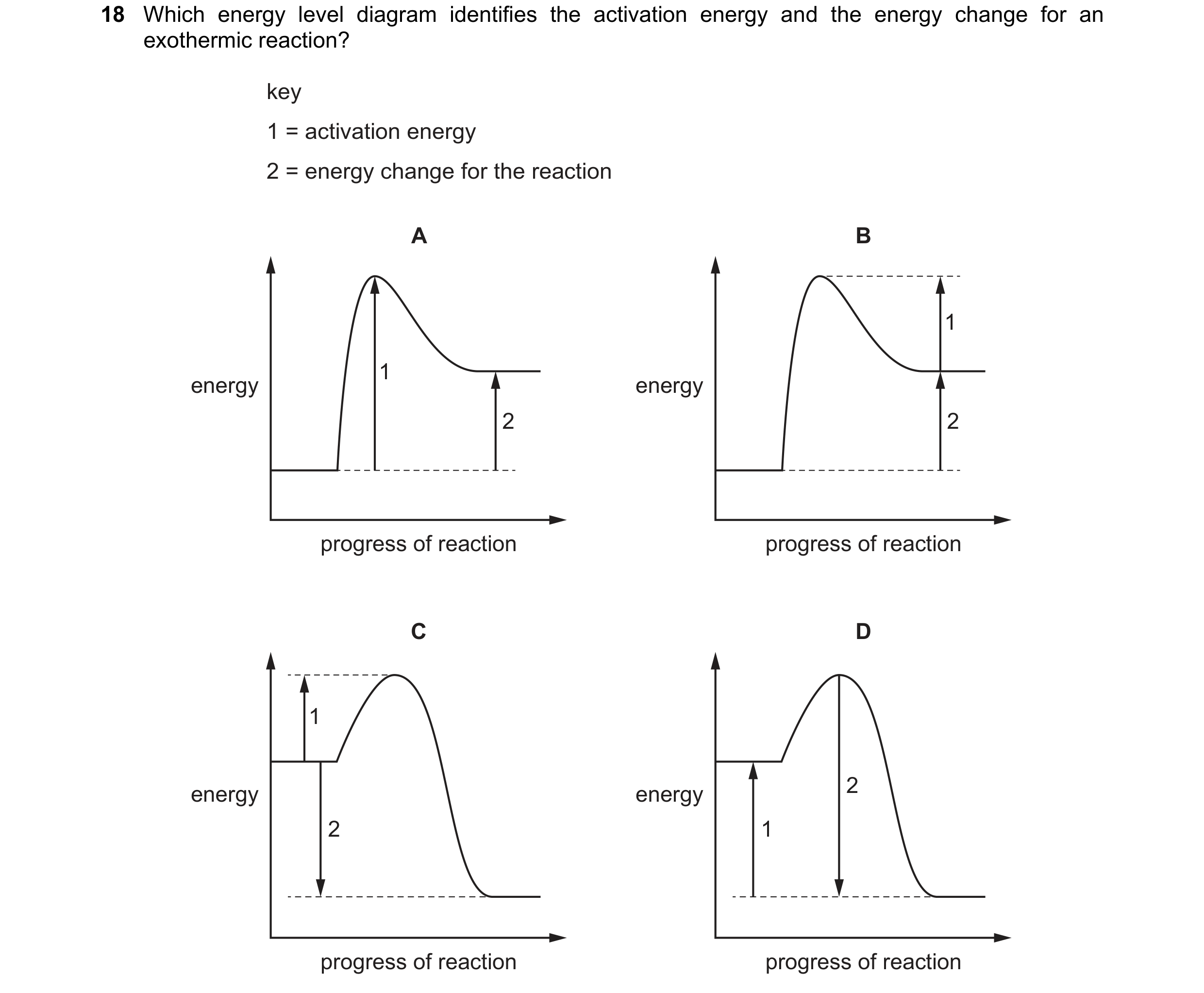 Question 39: Which energy level diagram identifies the activation energy and the energy change for an exothermic reaction? key 1 = activation energy 2 =…