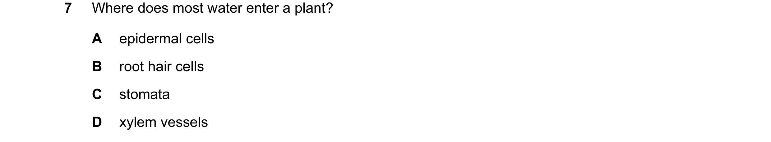 Question 9: Where does most water enter a plant? A epidermal cells B root hair cells C stomata D xylem vessels