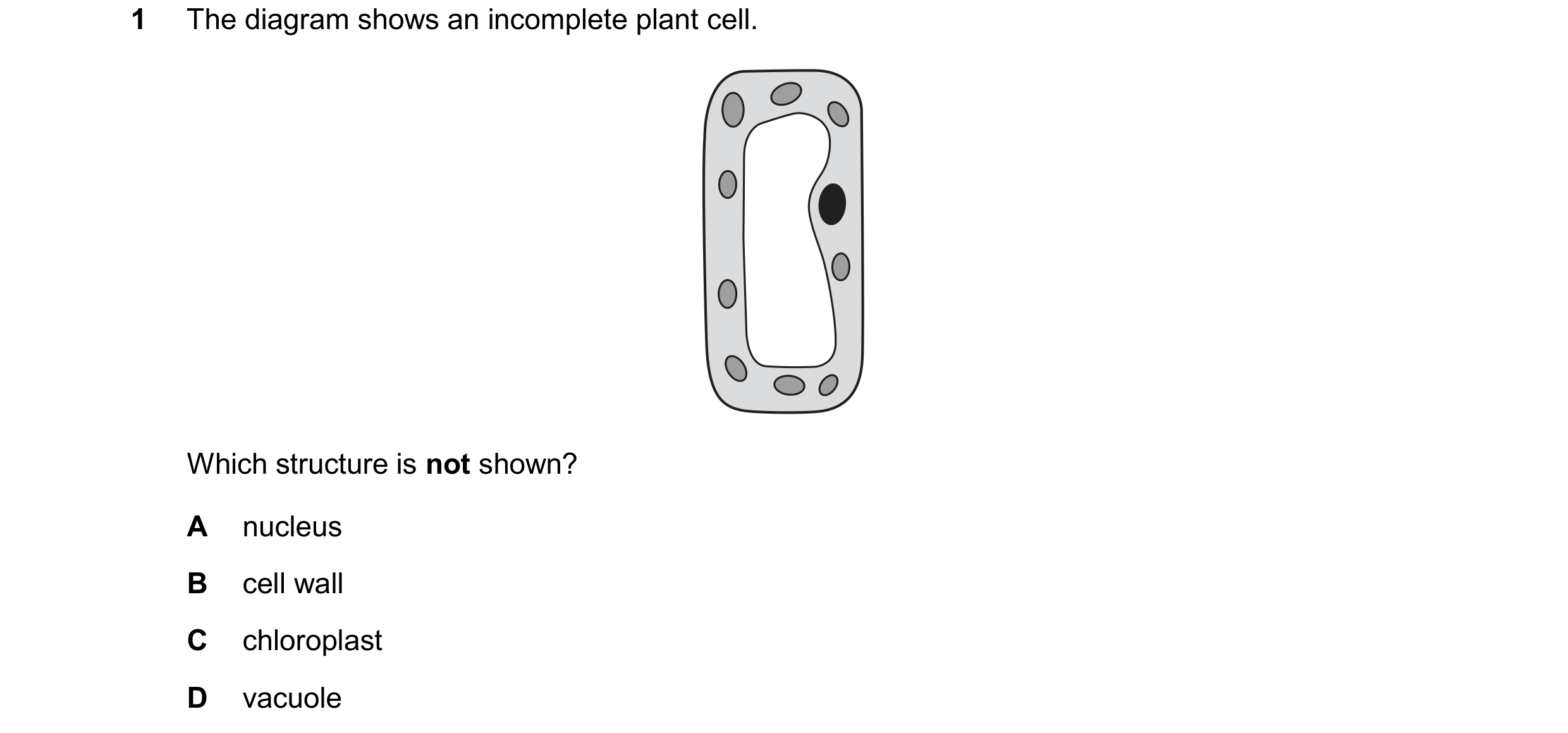 Question 22: The diagram shows an incomplete plant cell. Which structure is not shown? A nucleus B cell wall C chloroplast D vacuole