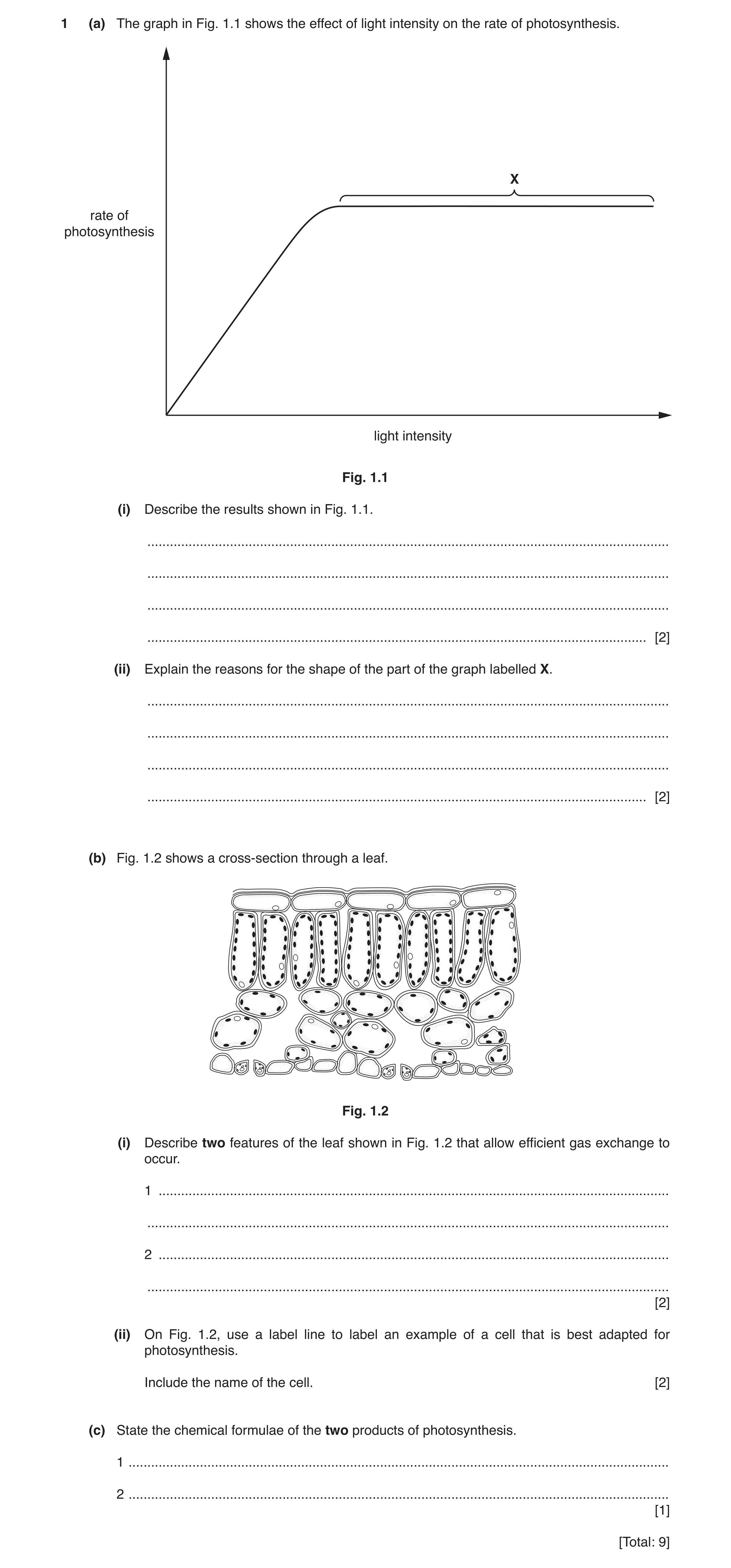 Question 5: (a) The graph in Fig. 1.1 shows the effect of light intensity on the rate of photosynthesis. X rate of photosynthesis light intensity Fig. …