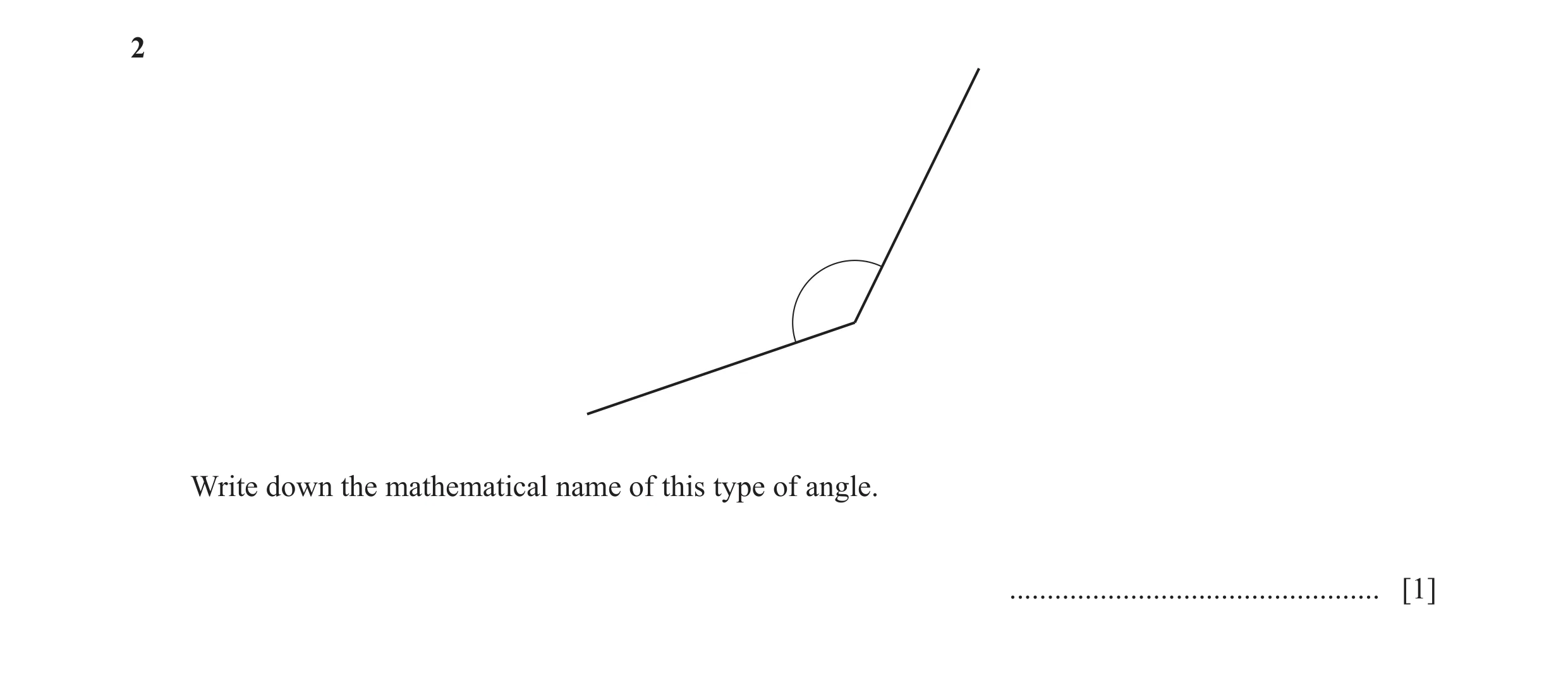 Question 108: Write down the mathematical name of this type of angle. ................................................. [1]