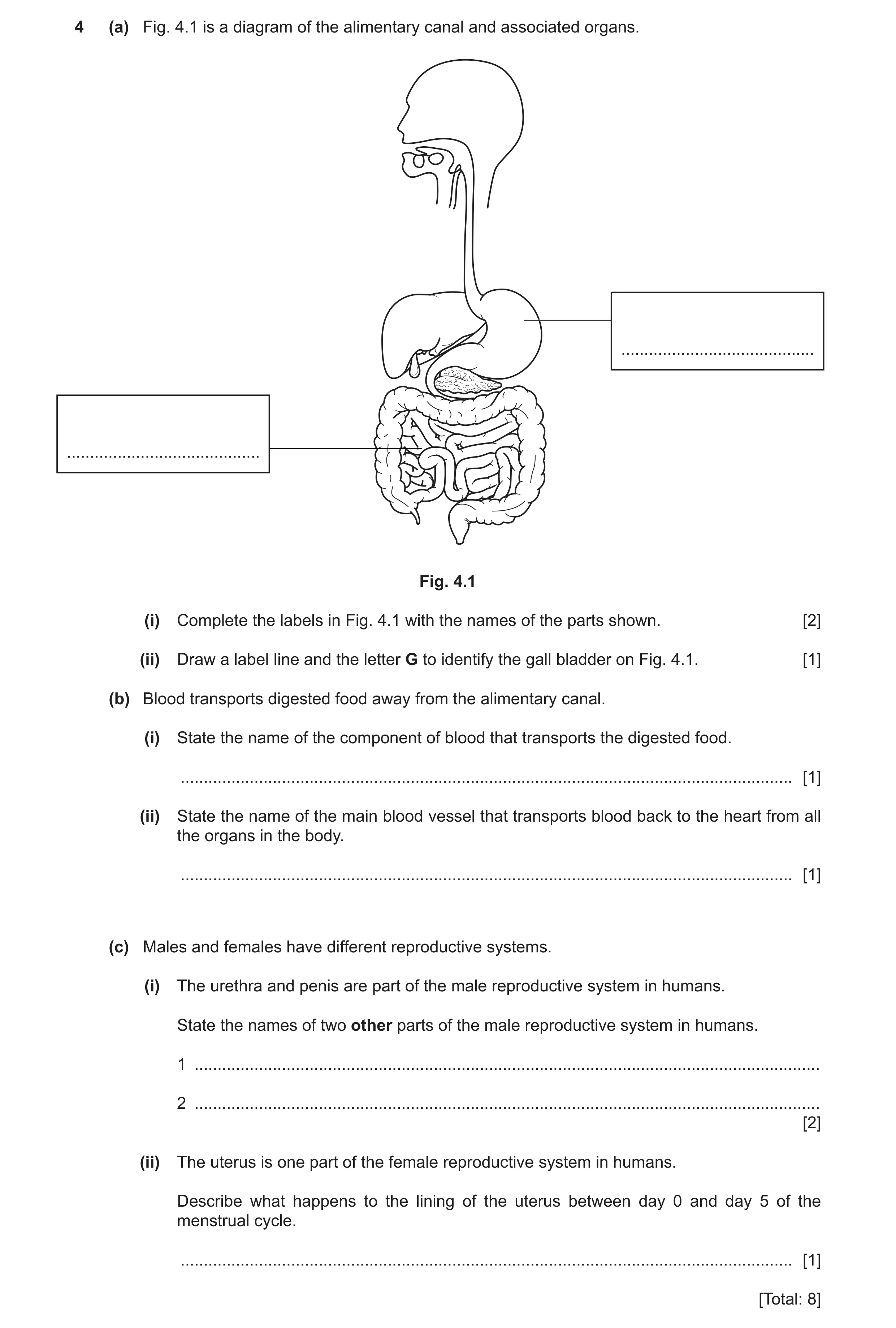 Question 23: (a) Fig. 4.1 is a diagram of the alimentary canal and associated organs. .......................................... .......................…