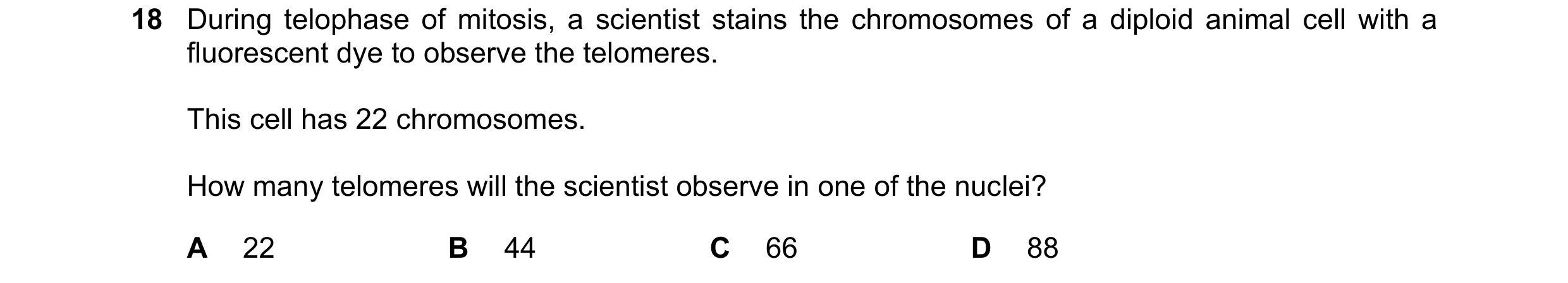 Question 85: During telophase of mitosis, a scientist stains the chromosomes of a diploid animal cell with a fluorescent dye to observe the telomeres. T…