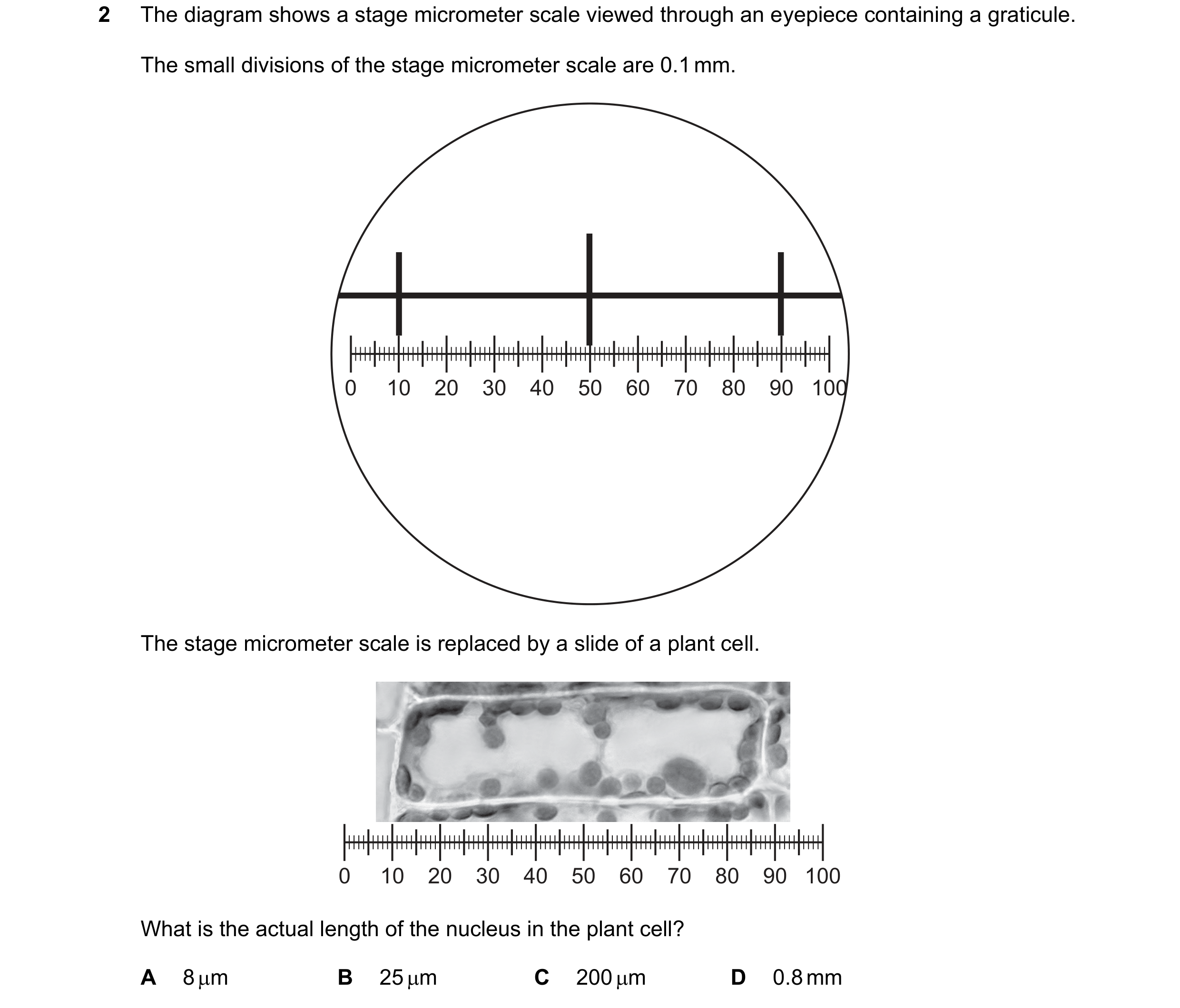Question 139: The diagram shows a stage micrometer scale viewed through an eyepiece containing a graticule. The small divisions of the stage micrometer s…