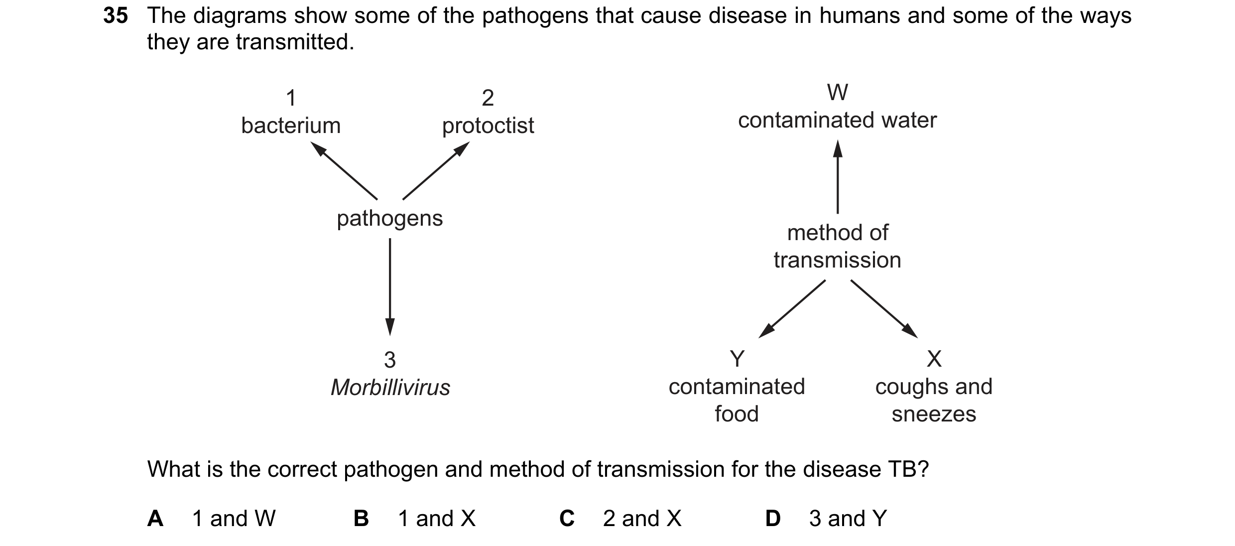 Question 123: The diagrams show some of the pathogens that cause disease in humans and some of the ways they are transmitted. 1 2 W bacterium protoctist …