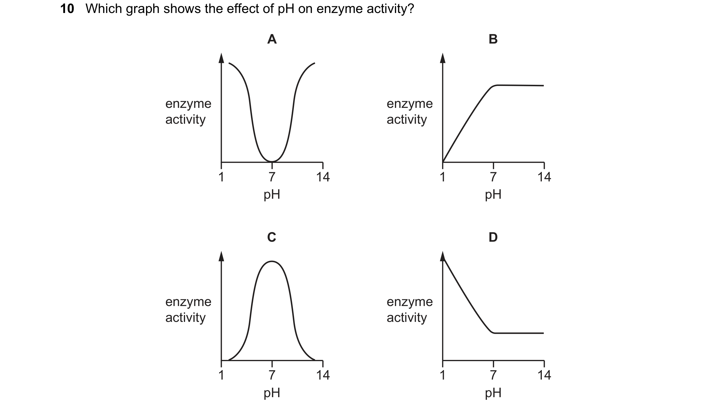 Question 4: Which graph shows the effect of pH on enzyme activity? A B enzyme enzyme activity activity 1 7 14 1 7 14 pH pH C D enzyme enzyme activity a…