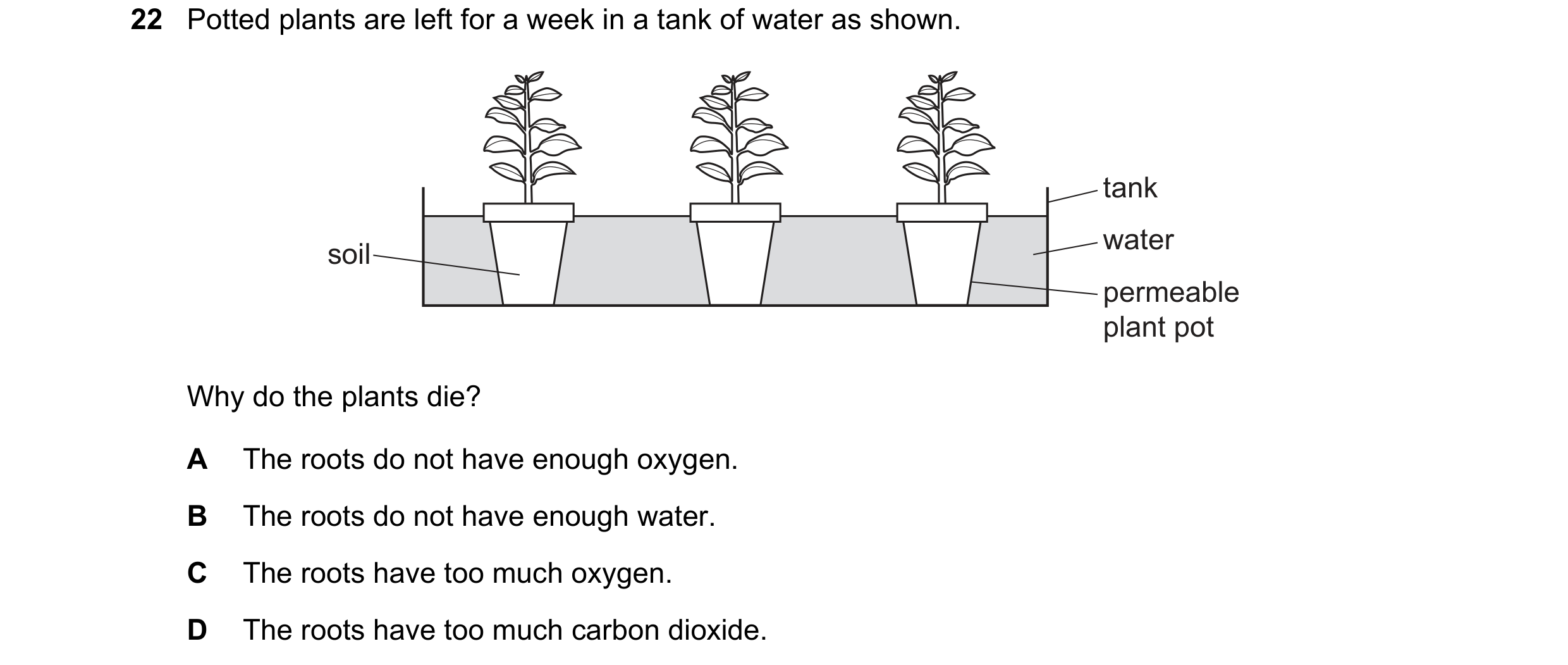 Question 5: Potted plants are left for a week in a tank of water as shown. tank water soil permeable plant pot Why do the plants die? A The roots do no…