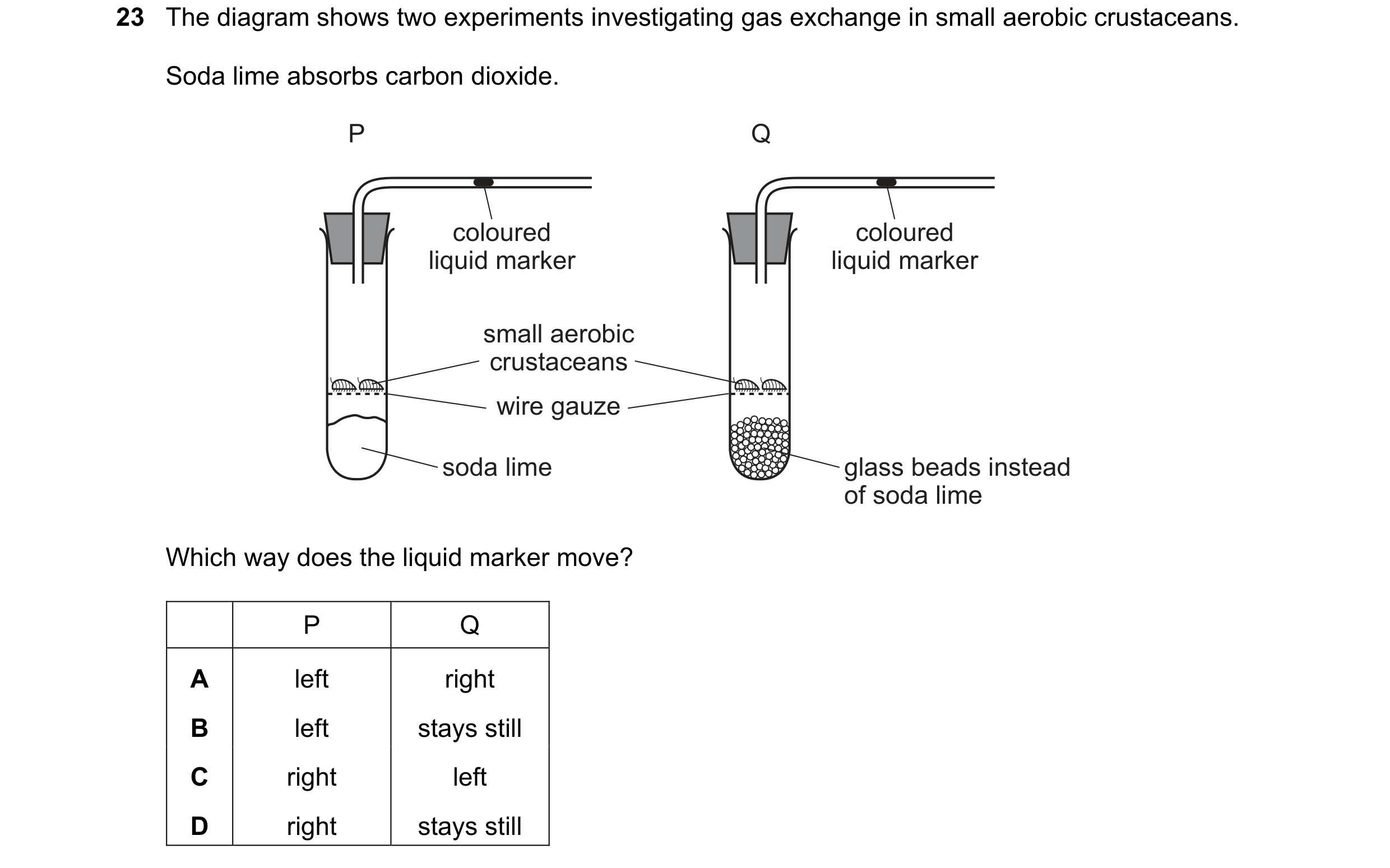 Question 2: The diagram shows two experiments investigating gas exchange in small aerobic crustaceans. Soda lime absorbs carbon dioxide. P Q coloured c…
