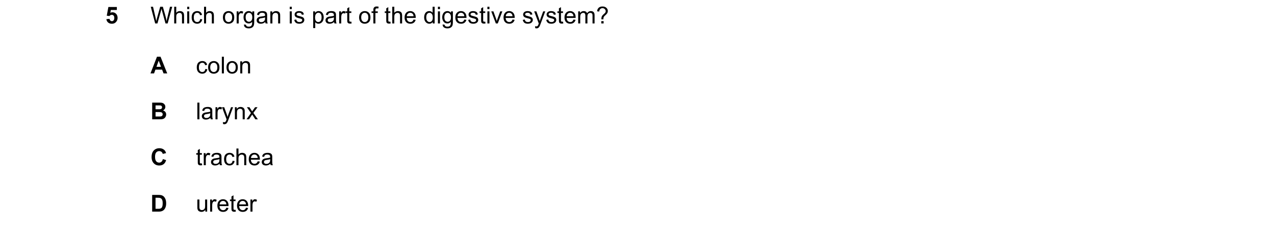 Question 2: Which organ is part of the digestive system? A colon B larynx C trachea D ureter