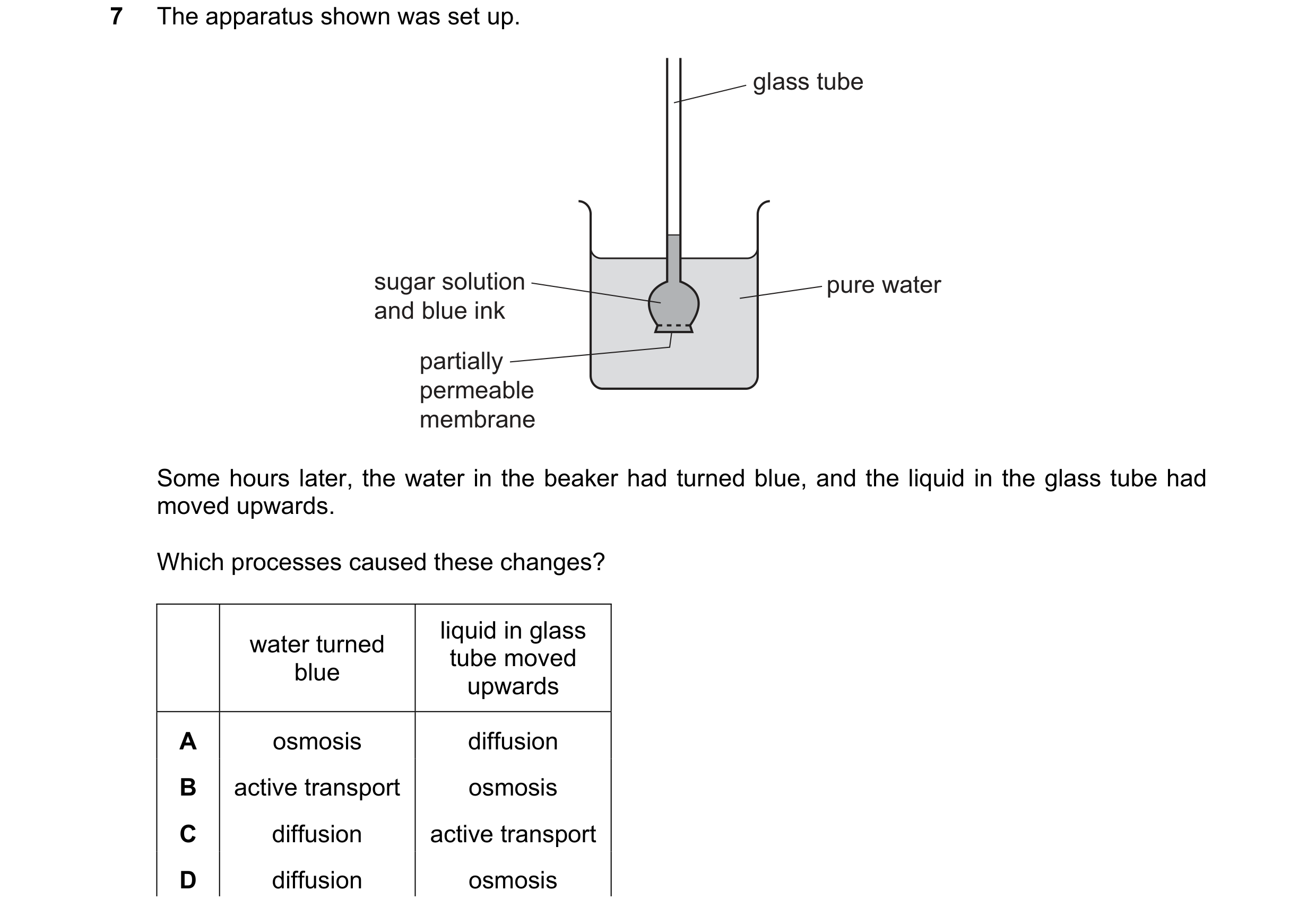 Question 5: The apparatus shown was set up. glass tube sugar solution pure water and blue ink partially permeable membrane Some hours later, the water …