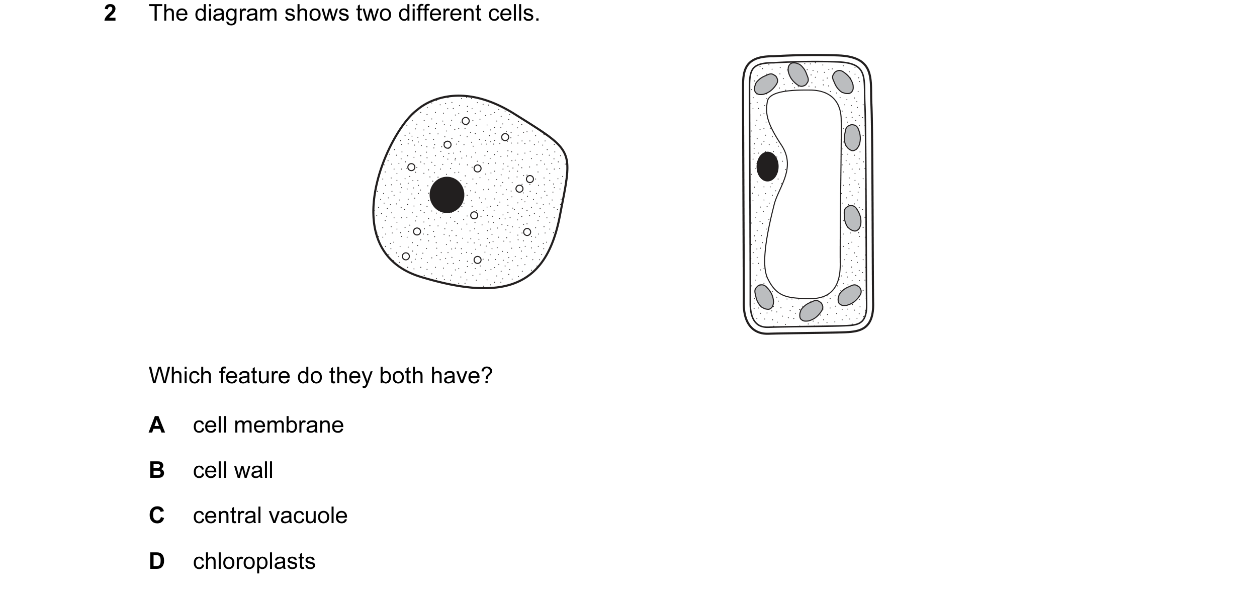 Question 19: The diagram shows two different cells. Which feature do they both have? A cell membrane B cell wall C central vacuole D chloroplasts
