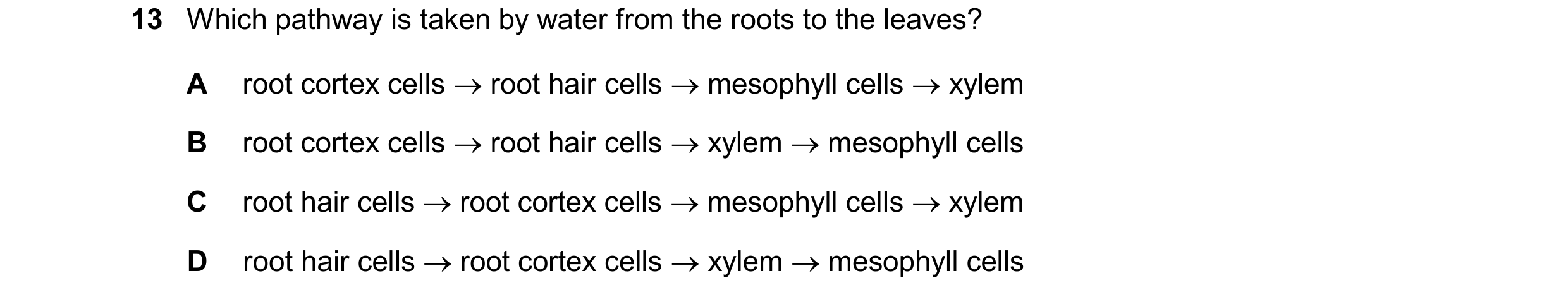 Question 23: Which pathway is taken by water from the roots to the leaves? A root cortex cells  root hair cells  mesophyll cells  xylem B root cortex…