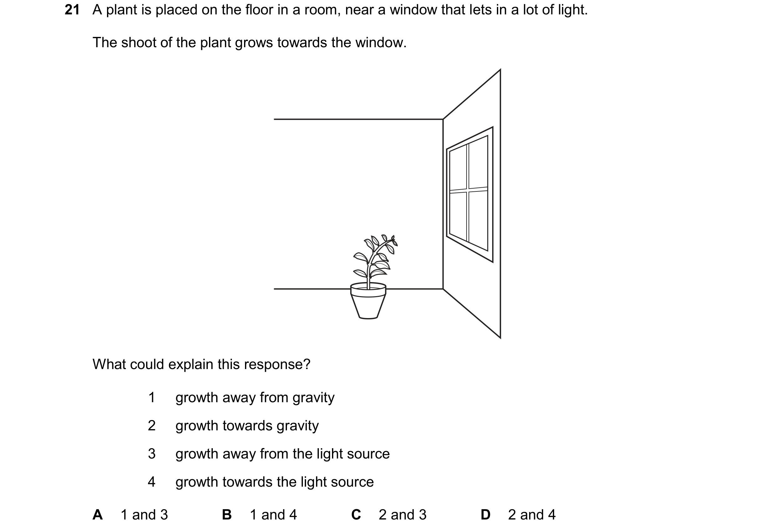Question 12: A plant is placed on the floor in a room, near a window that lets in a lot of light. The shoot of the plant grows towards the window. What …