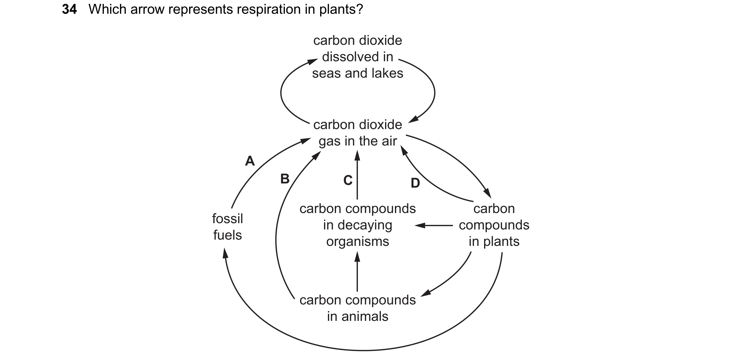 Question 13: Which arrow represents respiration in plants? carbon dioxide dissolved in seas and lakes carbon dioxide gas in the air A B C D carbon compo…