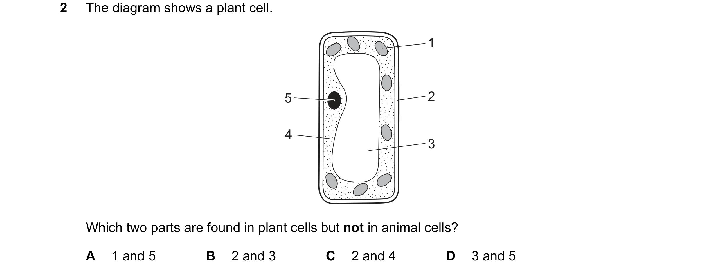 Question 37: The diagram shows a plant cell. 1 5 2 4 3 Which two parts are found in plant cells but not in animal cells? A 1 and 5 B 2 and 3 C 2 and 4 D…