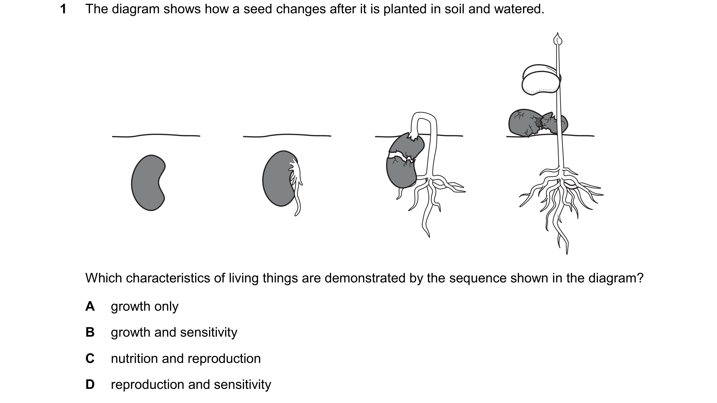 Question 34: The diagram shows how a seed changes after it is planted in soil and watered. Which characteristics of living things are demonstrated by th…