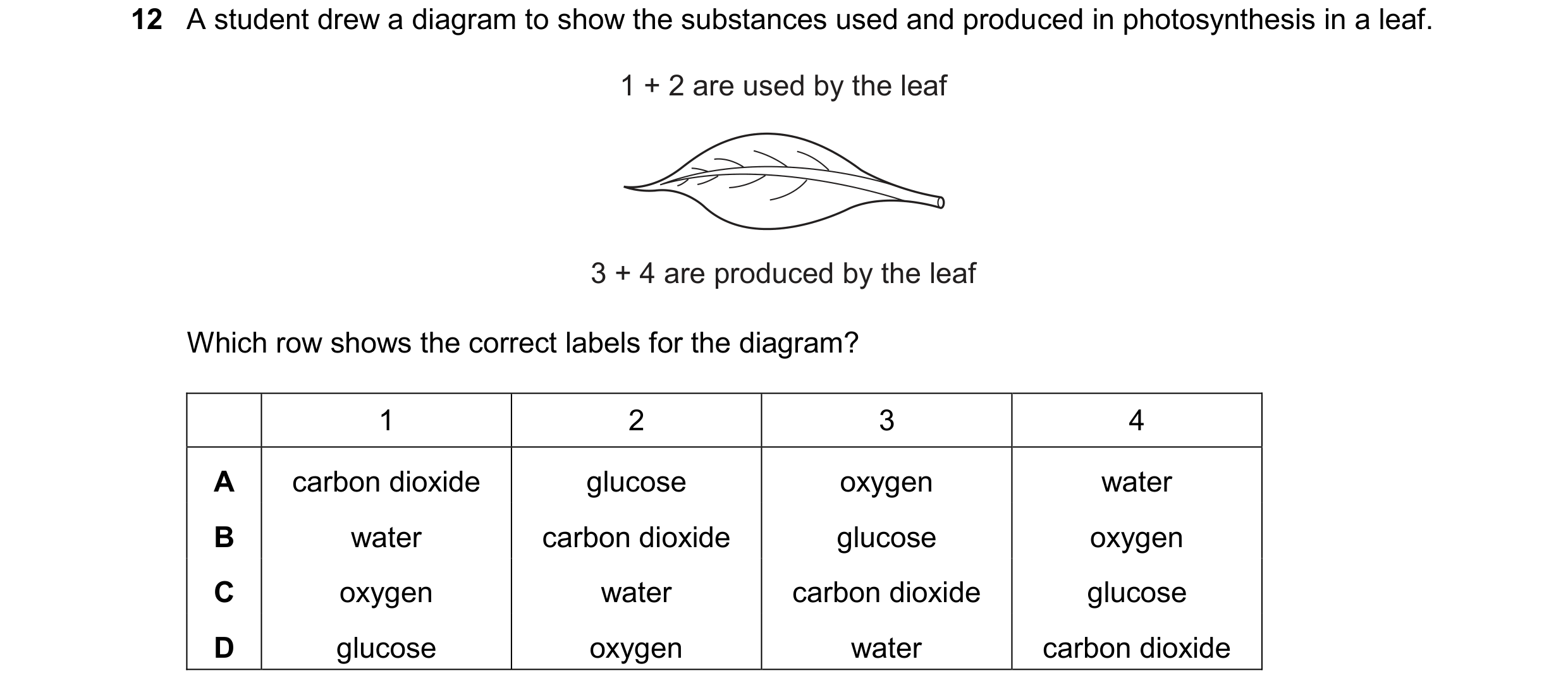 Question 36: A student drew a diagram to show the substances used and produced in photosynthesis in a leaf. 1 + 2 are used by the leaf 3 + 4 are produce…