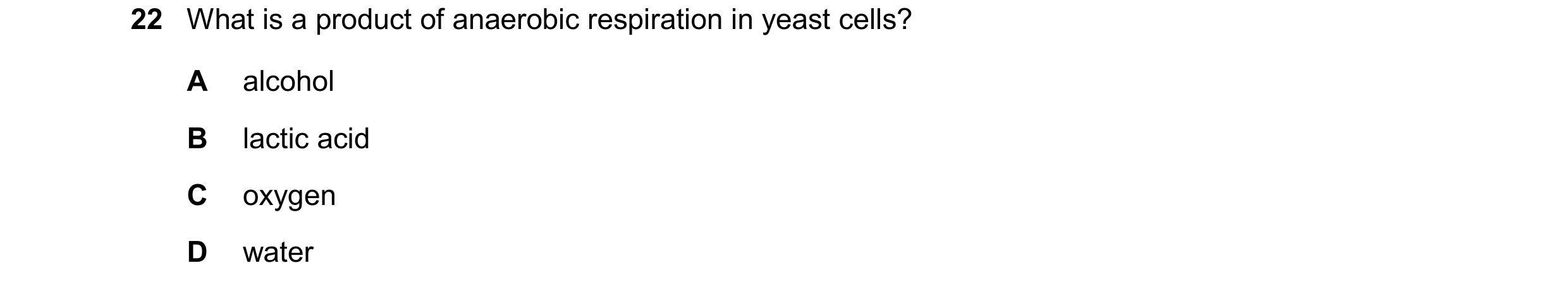 Question 22: What is a product of anaerobic respiration in yeast cells? A alcohol B lactic acid C oxygen D water