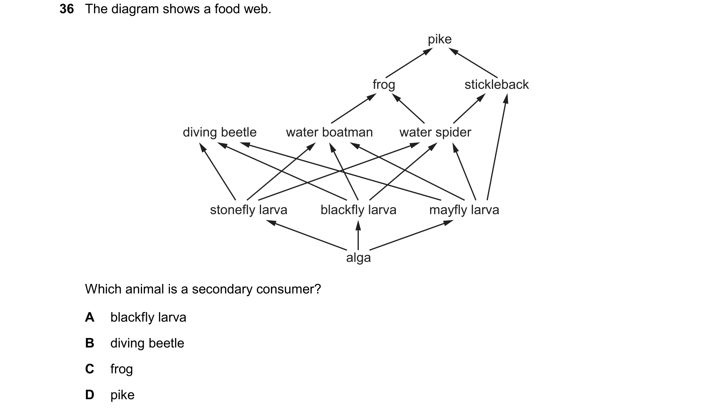 Question 27: The diagram shows a food web. pike frog stickleback diving beetle water boatman water spider stonefly larva blackfly larva mayfly larva alg…