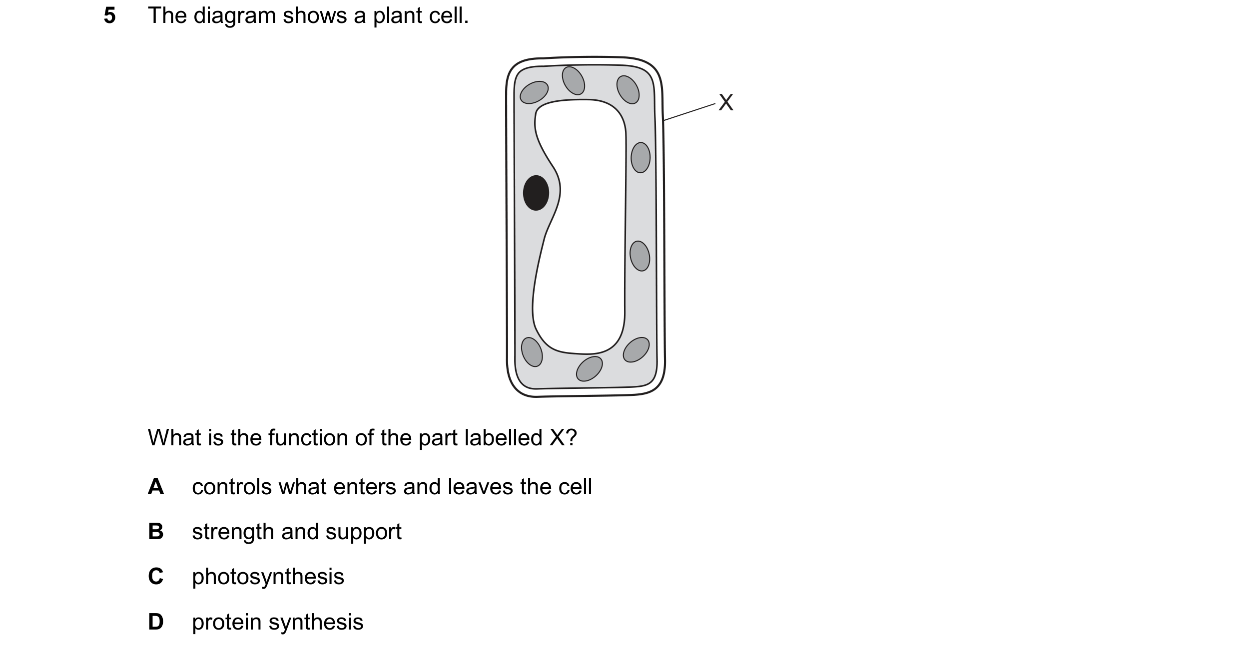Question 45: The diagram shows a plant cell. X What is the function of the part labelled X? A controls what enters and leaves the cell B strength and su…
