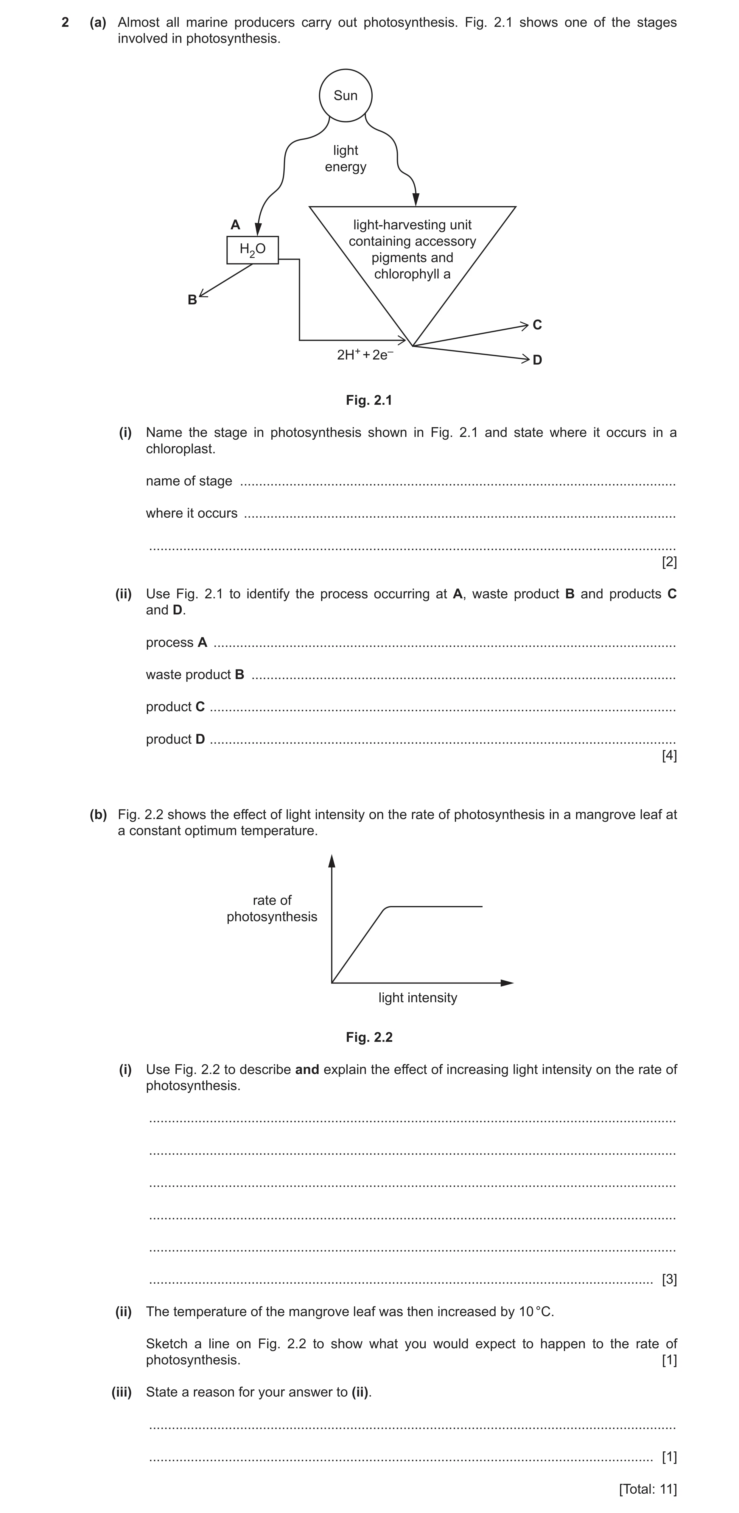 Question 6: (a) Almost all marine producers carry out photosynthesis. Fig. 2.1 shows one of the stages involved in photosynthesis. Sun light energy A l…