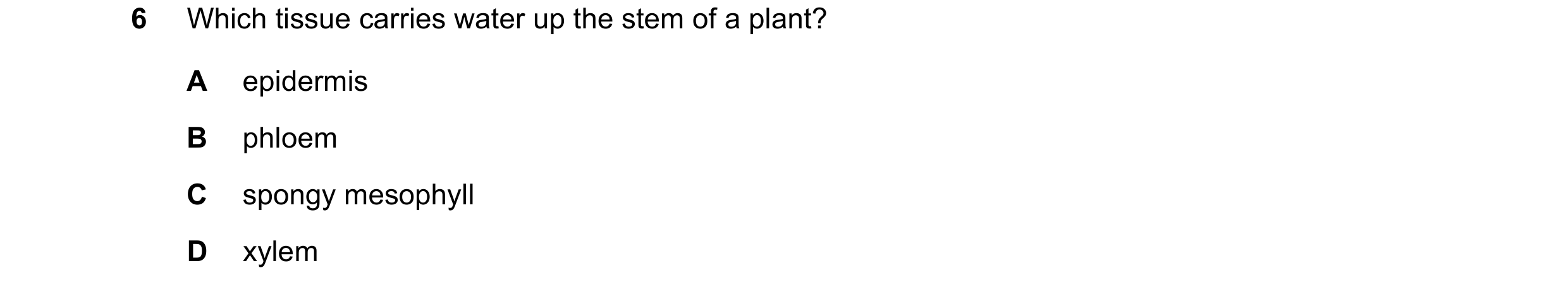 Question 8: Which tissue carries water up the stem of a plant? A epidermis B phloem C spongy mesophyll D xylem