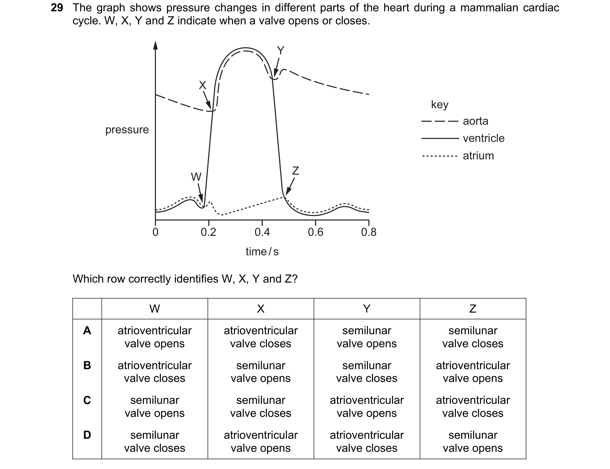 Question 104: The graph shows pressure changes in different parts of the heart during a mammalian cardiac cycle. W, X, Y and Z indicate when a valve open…