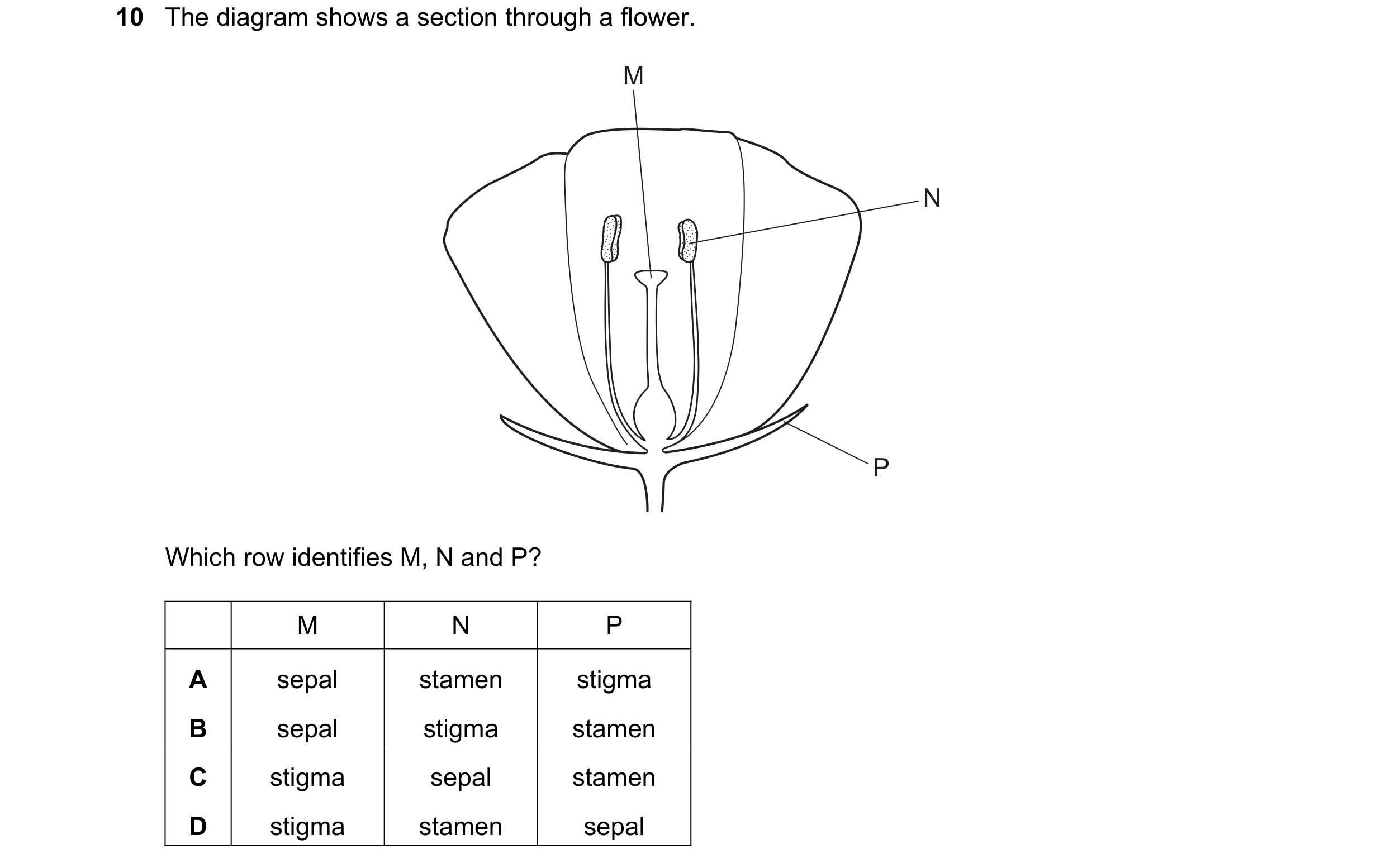 Question 32: The diagram shows a section through a flower. M N P Which row identifies M, N and P? M N P A sepal stamen stigma B sepal stigma stamen C st…