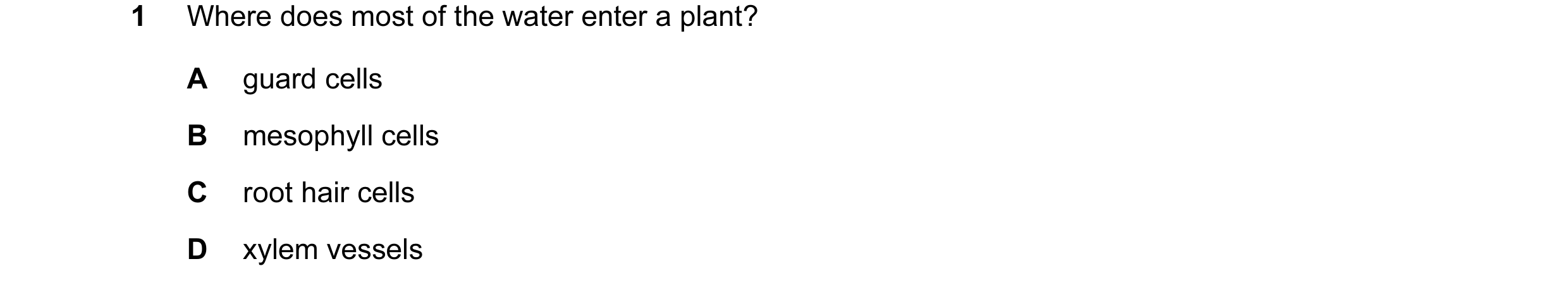 Question 5: Where does most of the water enter a plant? A guard cells B mesophyll cells C root hair cells D xylem vessels