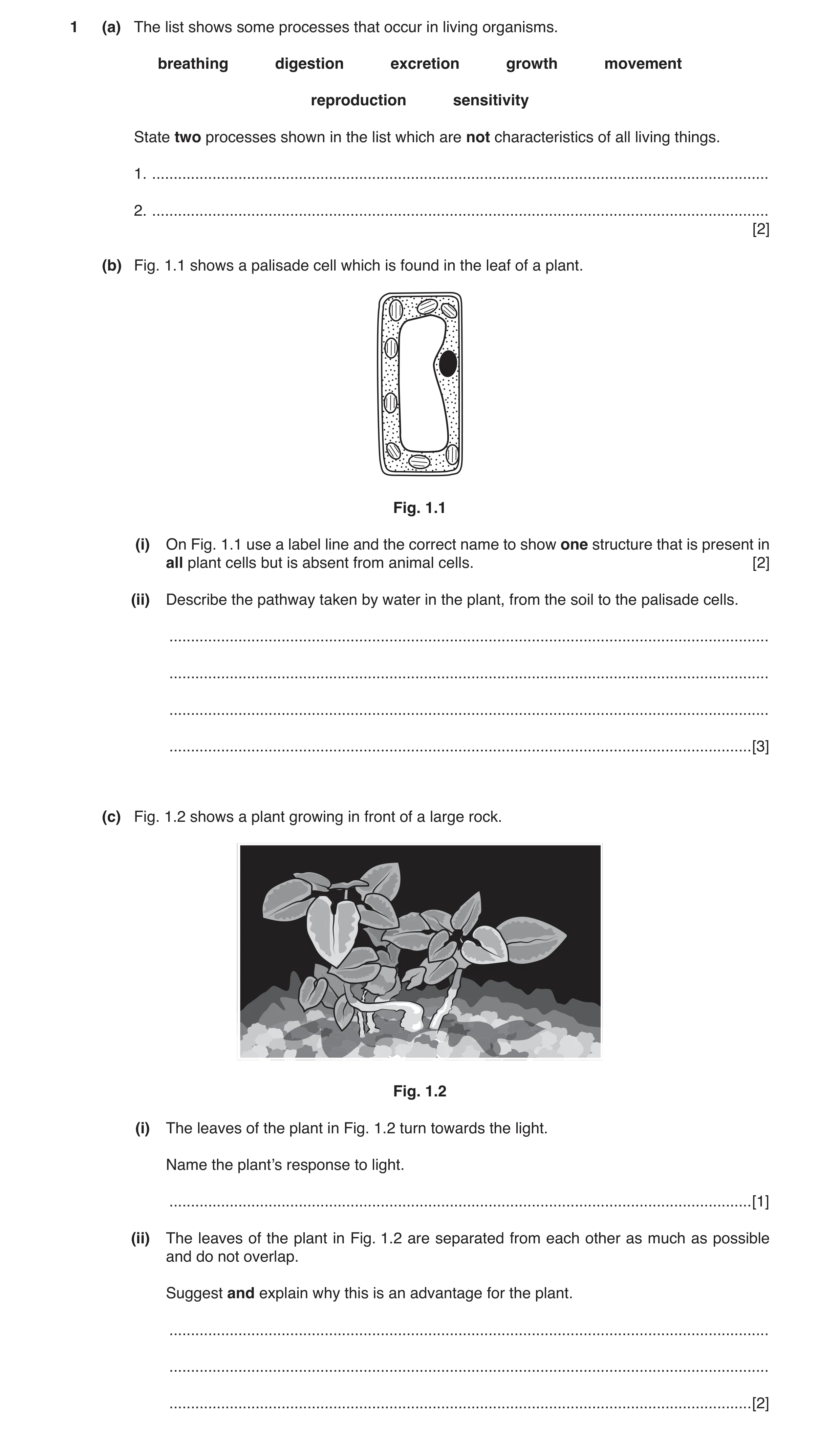 Question 9: (a) The list shows some processes that occur in living organisms. breathing digestion excretion growth movement reproduction sensitivity St…