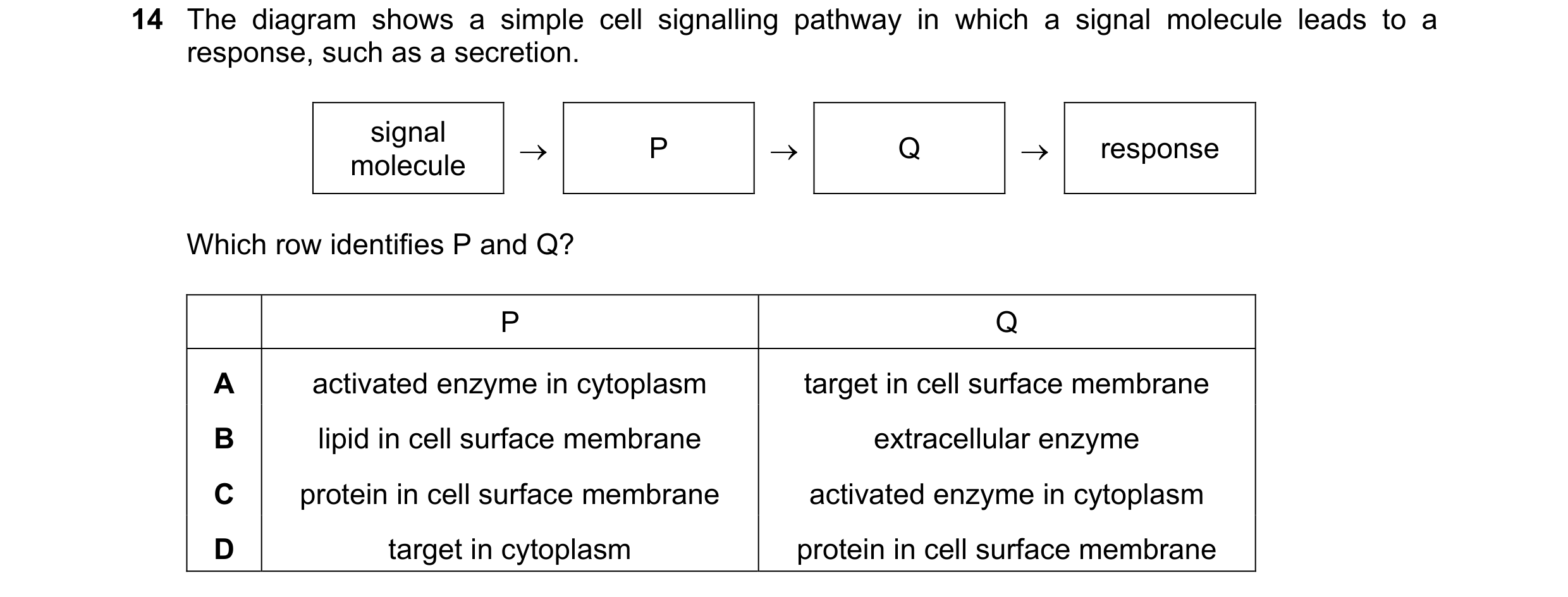 Question 93: The diagram shows a simple cell signalling pathway in which a signal molecule leads to a response, such as a secretion. signal → P → Q → re…