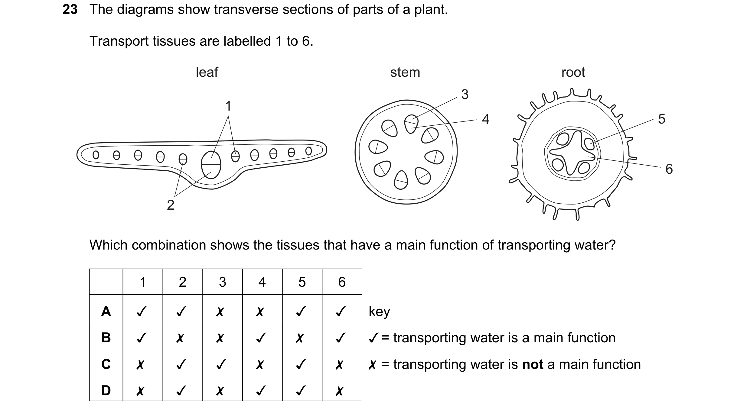 Question 67: The diagrams show transverse sections of parts of a plant.

Transport tissues are labelled 1 to 6.

leaf stem root

Which combination shows…