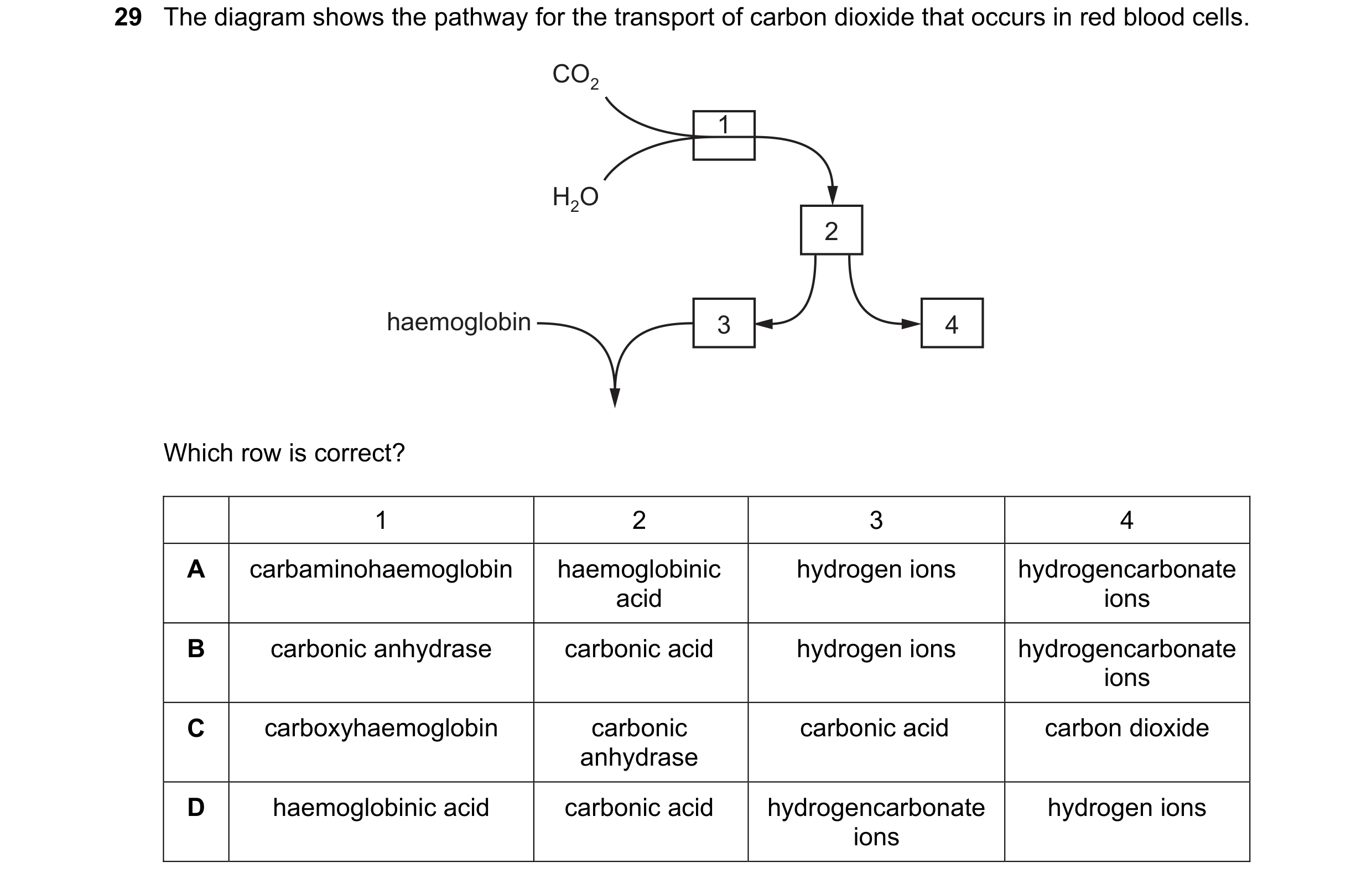 Question 114: The diagram shows the pathway for the transport of carbon dioxide that occurs in red blood cells. CO2 1 H2O 2 haemoglobin 3 4 Which row is …