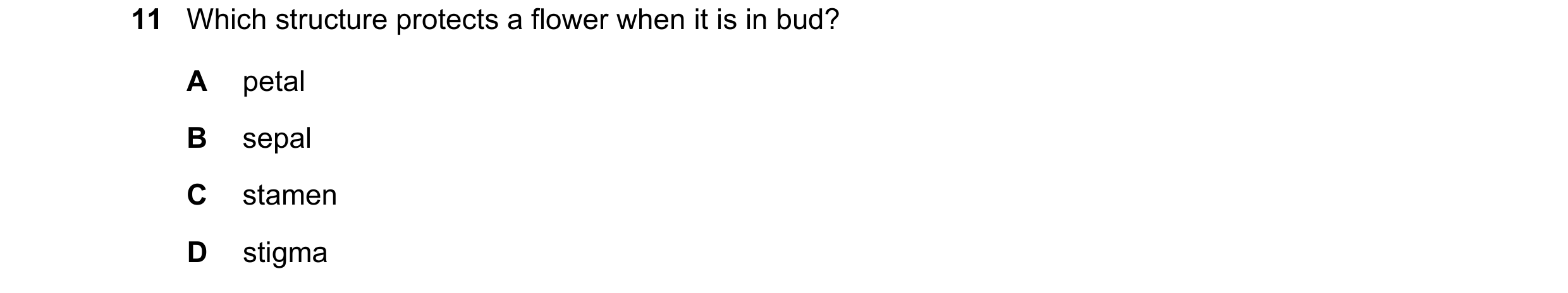 Question 28: Which structure protects a flower when it is in bud? A petal B sepal C stamen D stigma