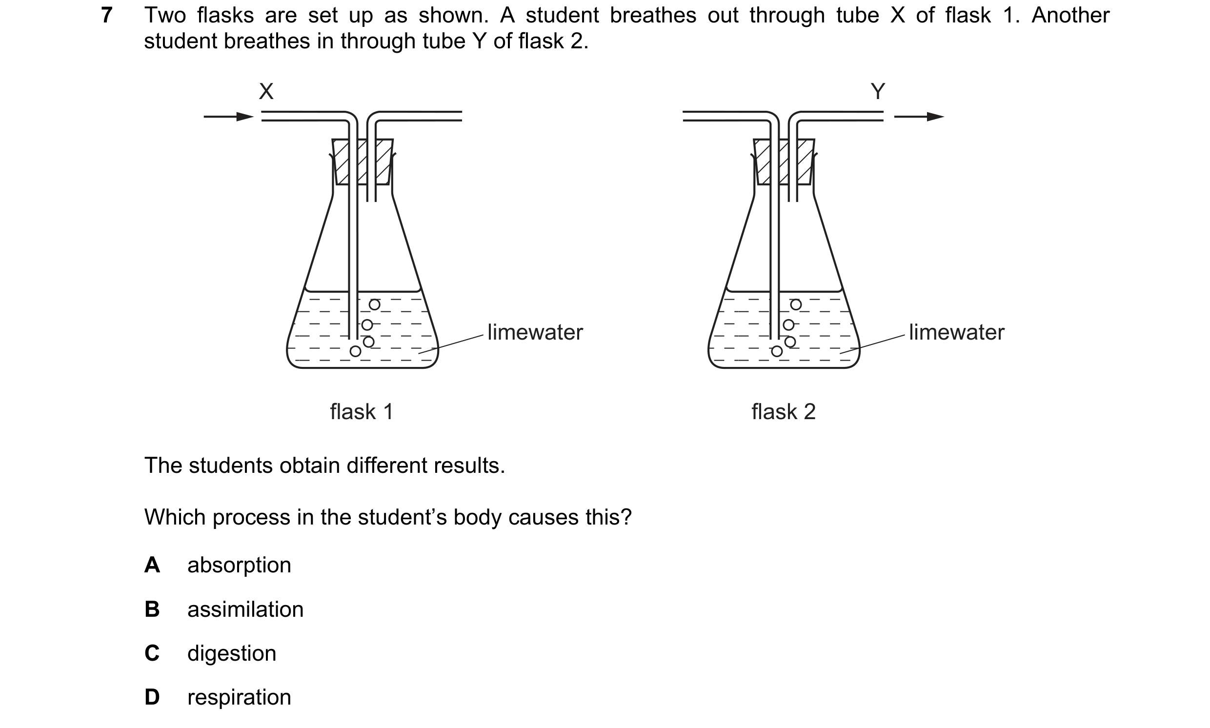Question 42: Two flasks are set up as shown. A student breathes out through tube X of flask 1. Another student breathes in through tube Y of flask 2. X …