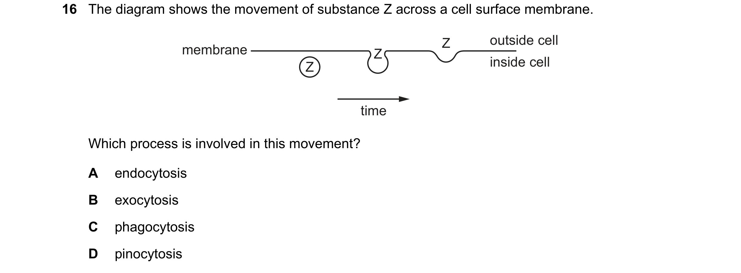 Question 148: The diagram shows the movement of substance Z across a cell surface membrane. Z outside cell membrane Z Z inside cell time Which process is…