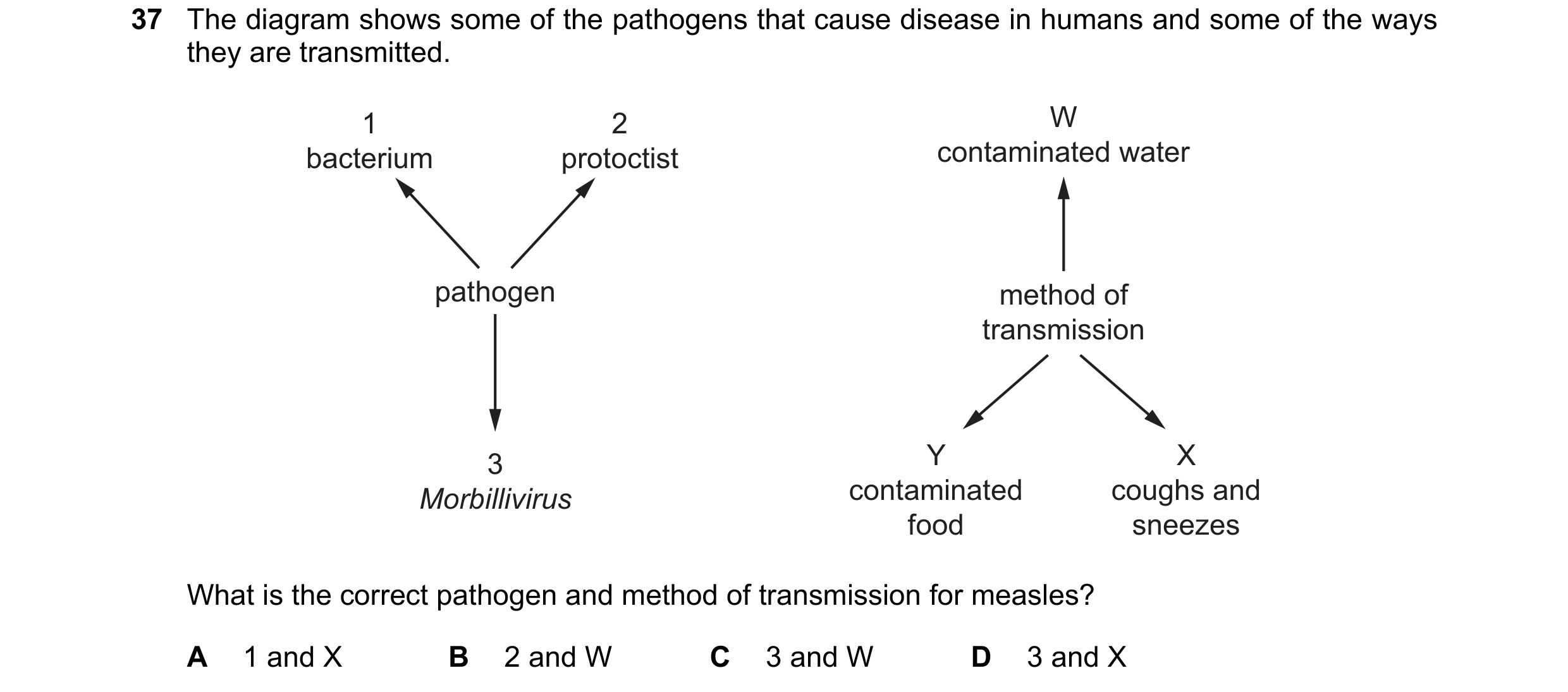 Question 102: The diagram shows some of the pathogens that cause disease in humans and some of the ways they are transmitted. 1 2 W bacterium protoctist …